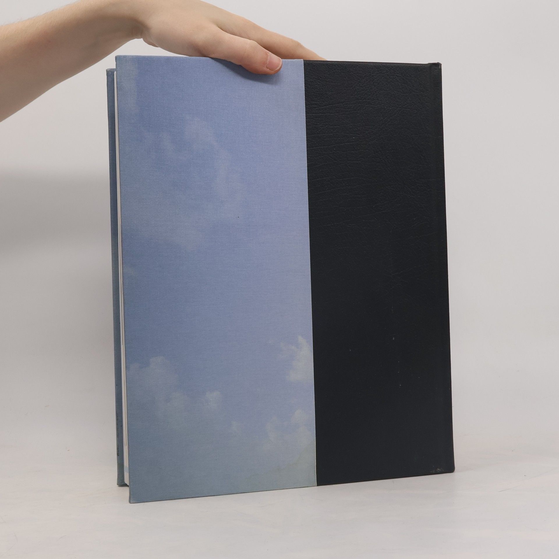 Various authors Brockhaus Horizonte