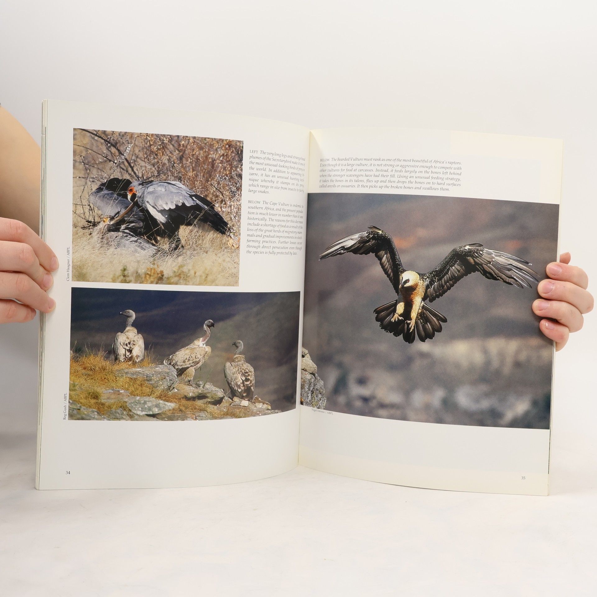 P. A. R. Hockey Birds of Southern Africa