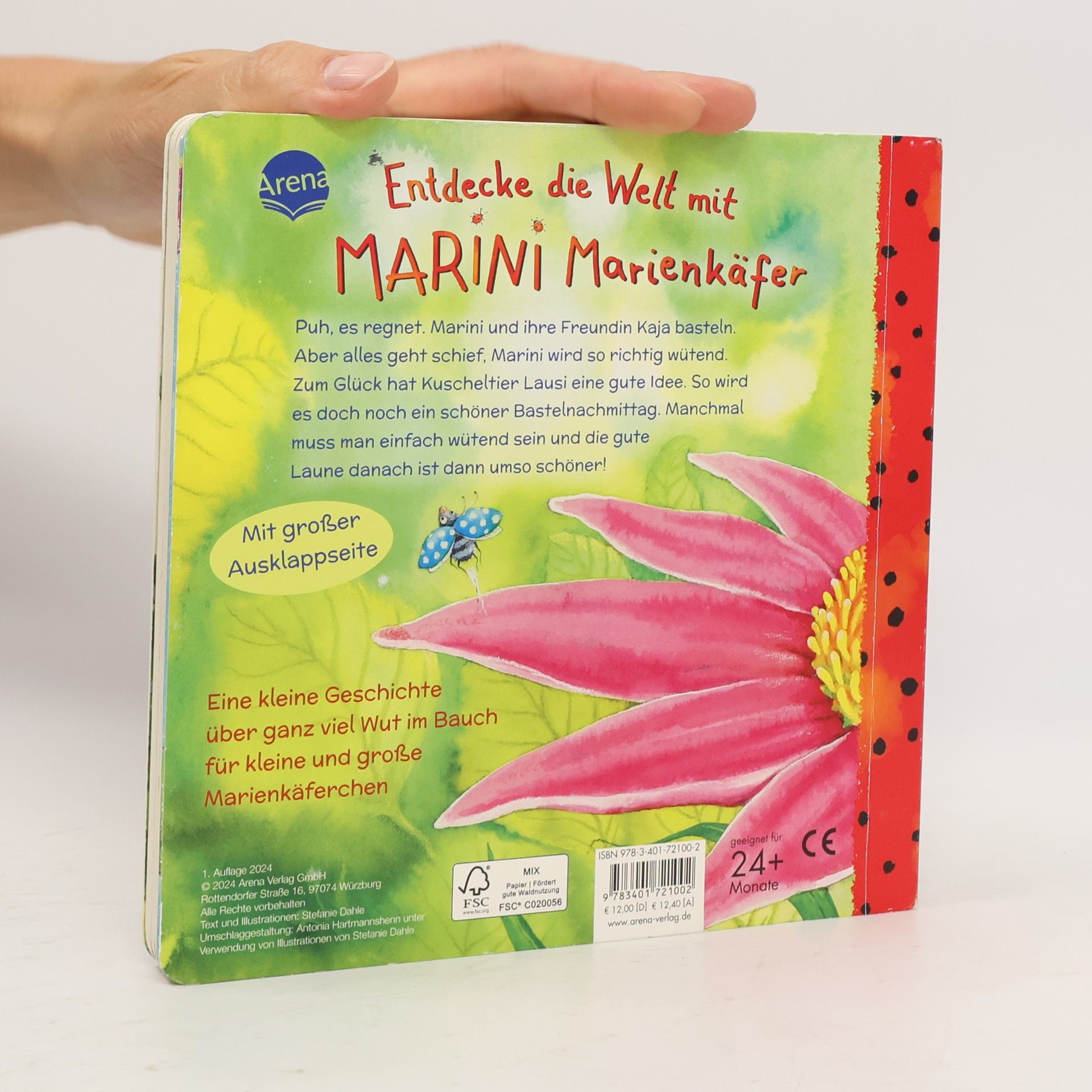 Stefanie Dahle Marini Marienkäfer. Heute bin ich wütend!