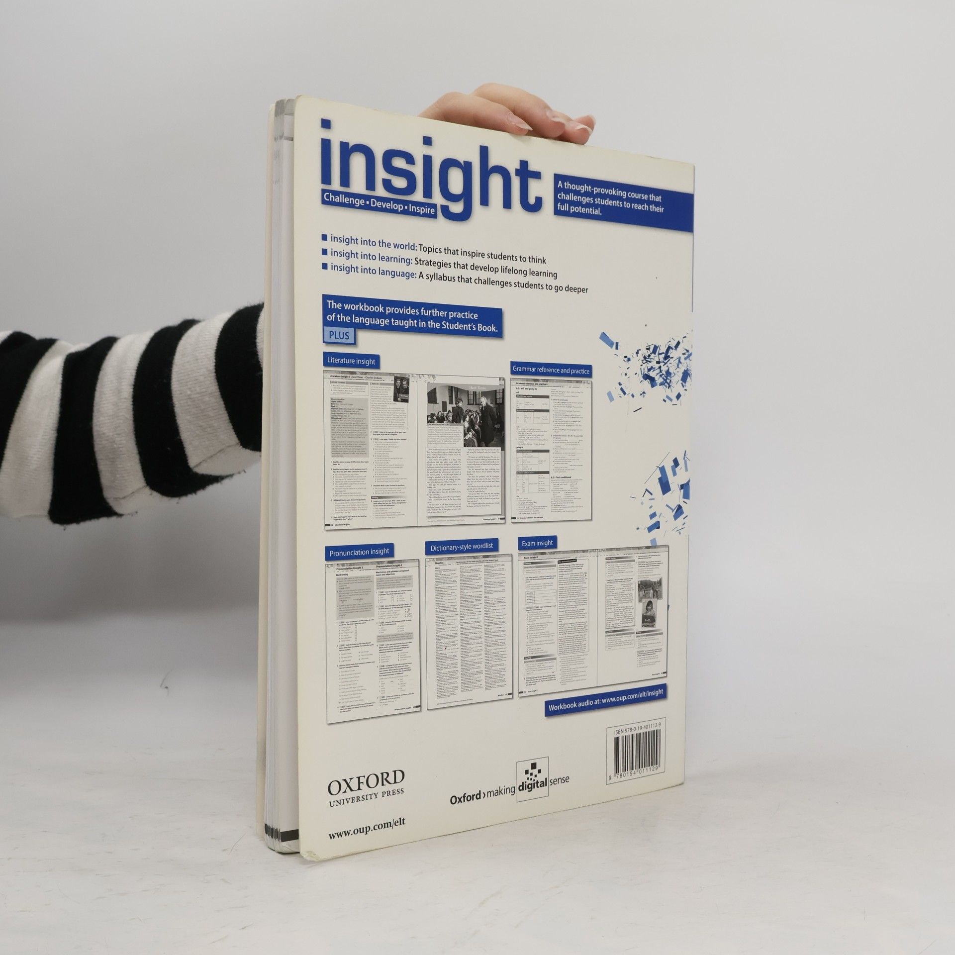 Mike Sayer Insight : Pre-intermediate Workbook