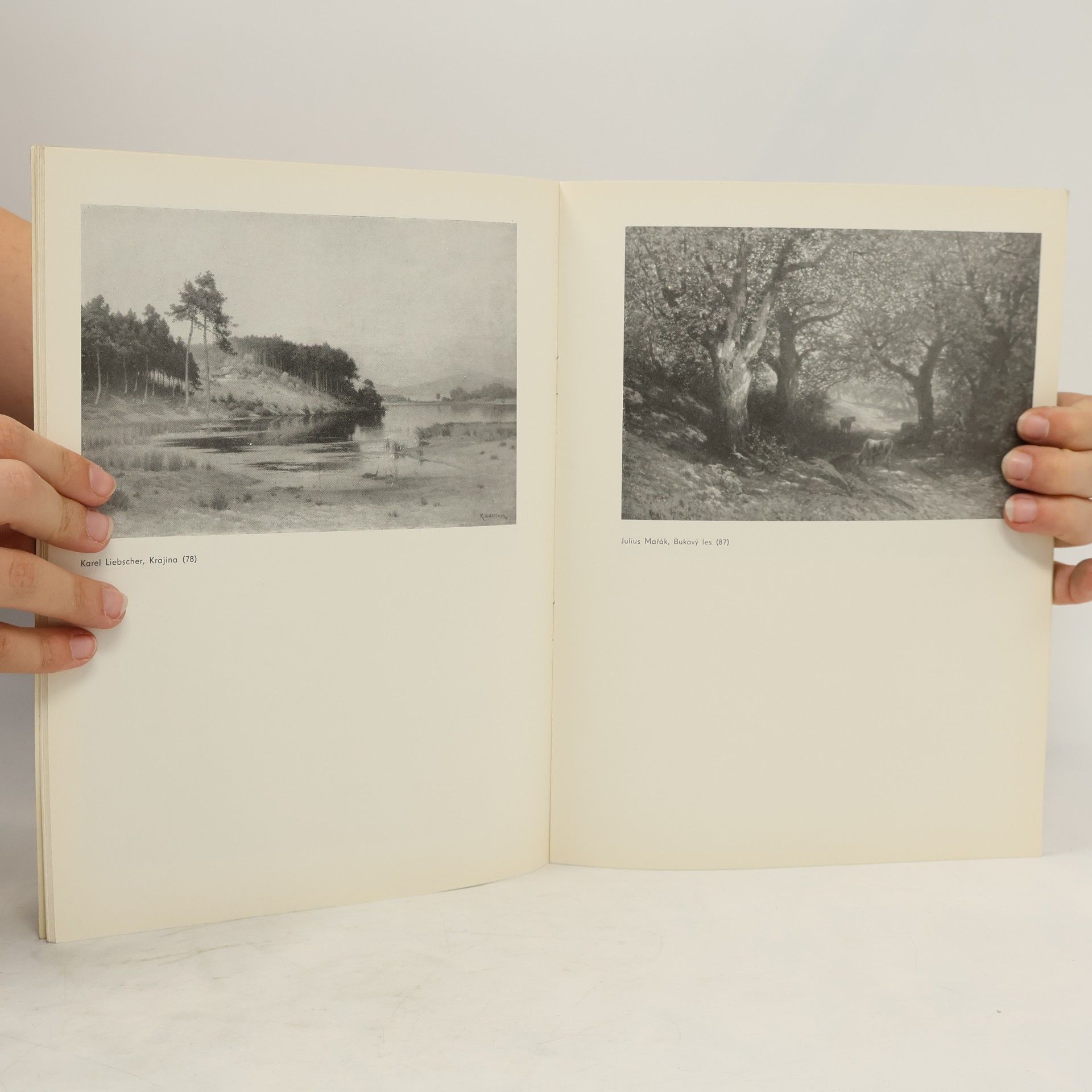 Kolektiv autorů České malířství 1850 - 1918