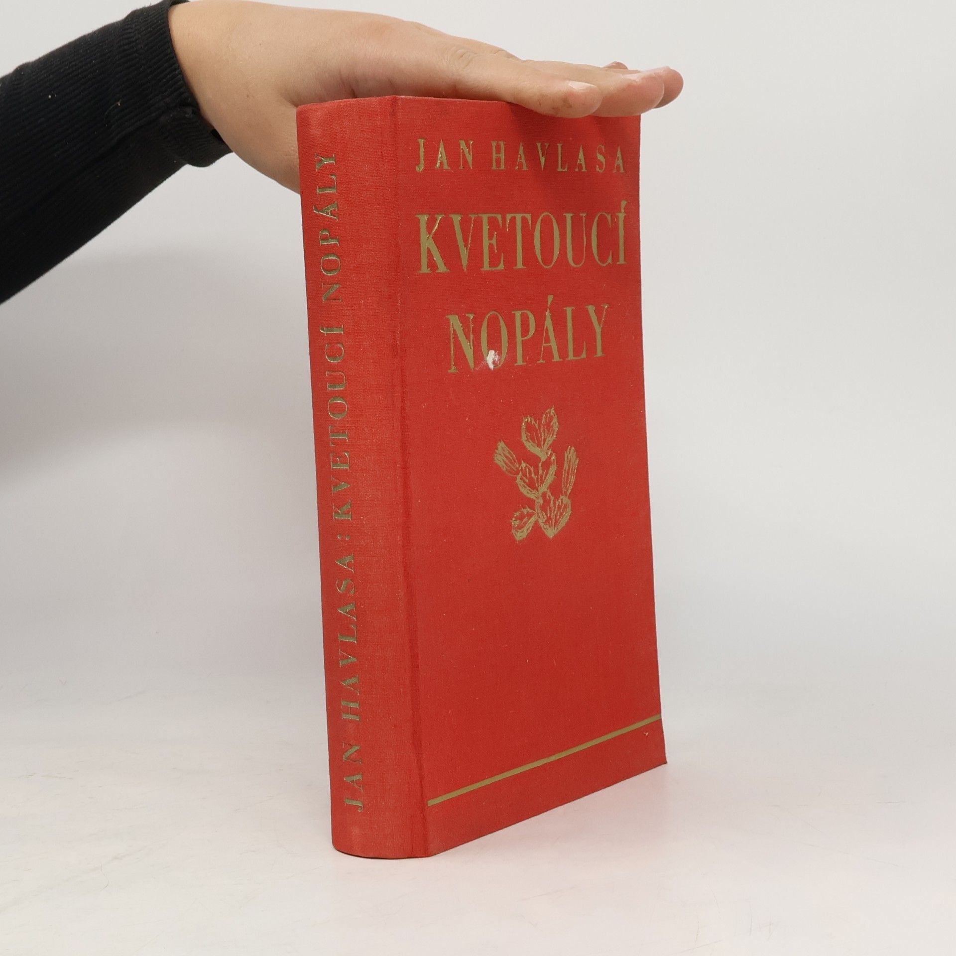 Kvetoucí nopály