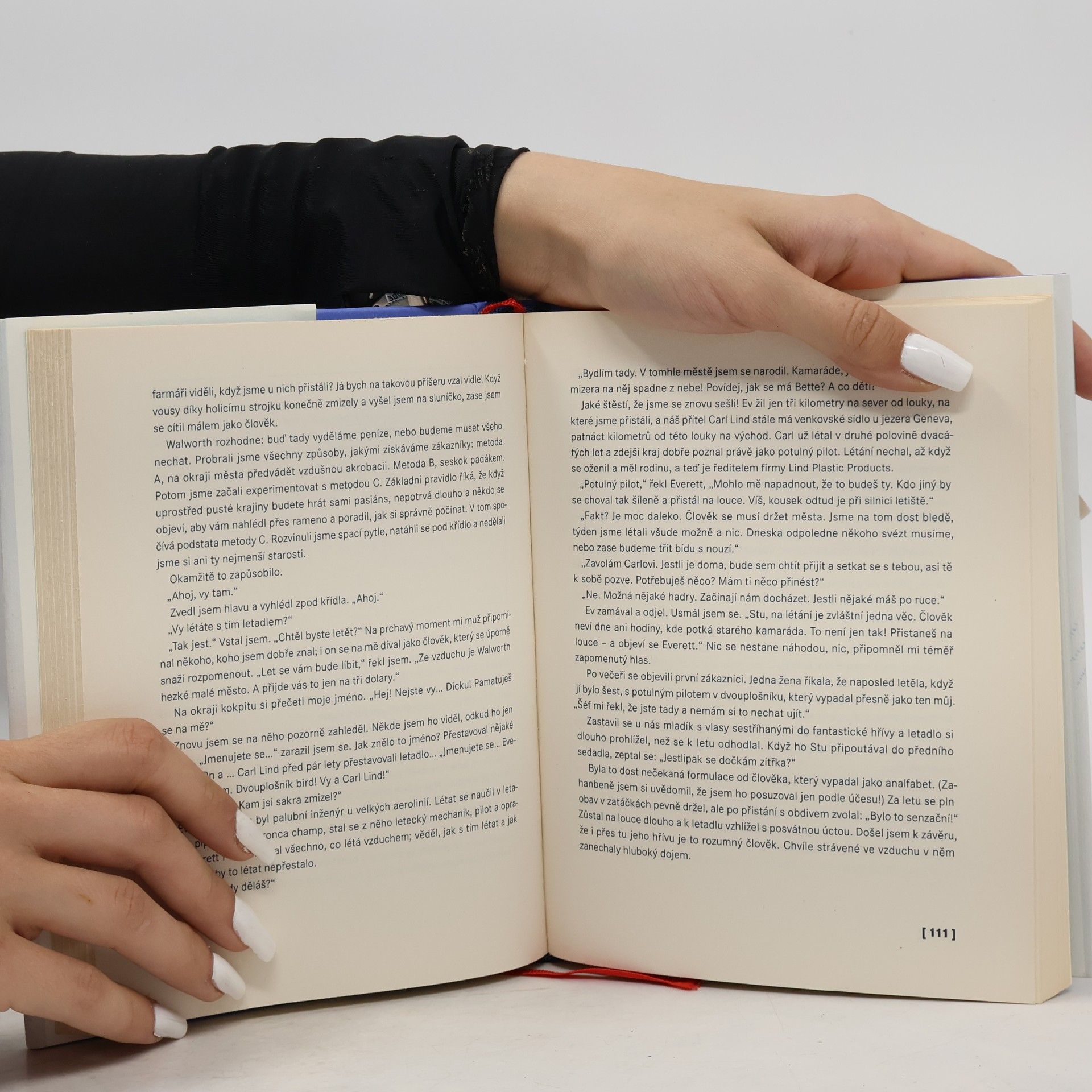Richard Bach Nic se nestane náhodou. Dobrodružství potulného pilota v moderní Americe