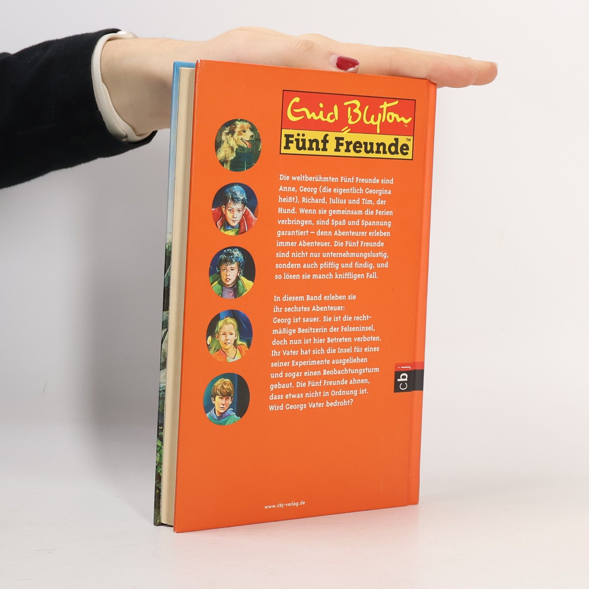 Enid Blyton Fünf Freunde auf der Felseninsel - Einmalige Sonderausgabe