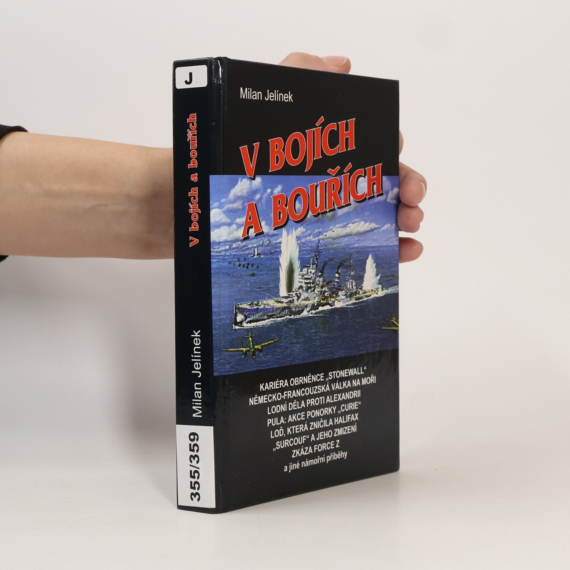 V bojích a bouřích