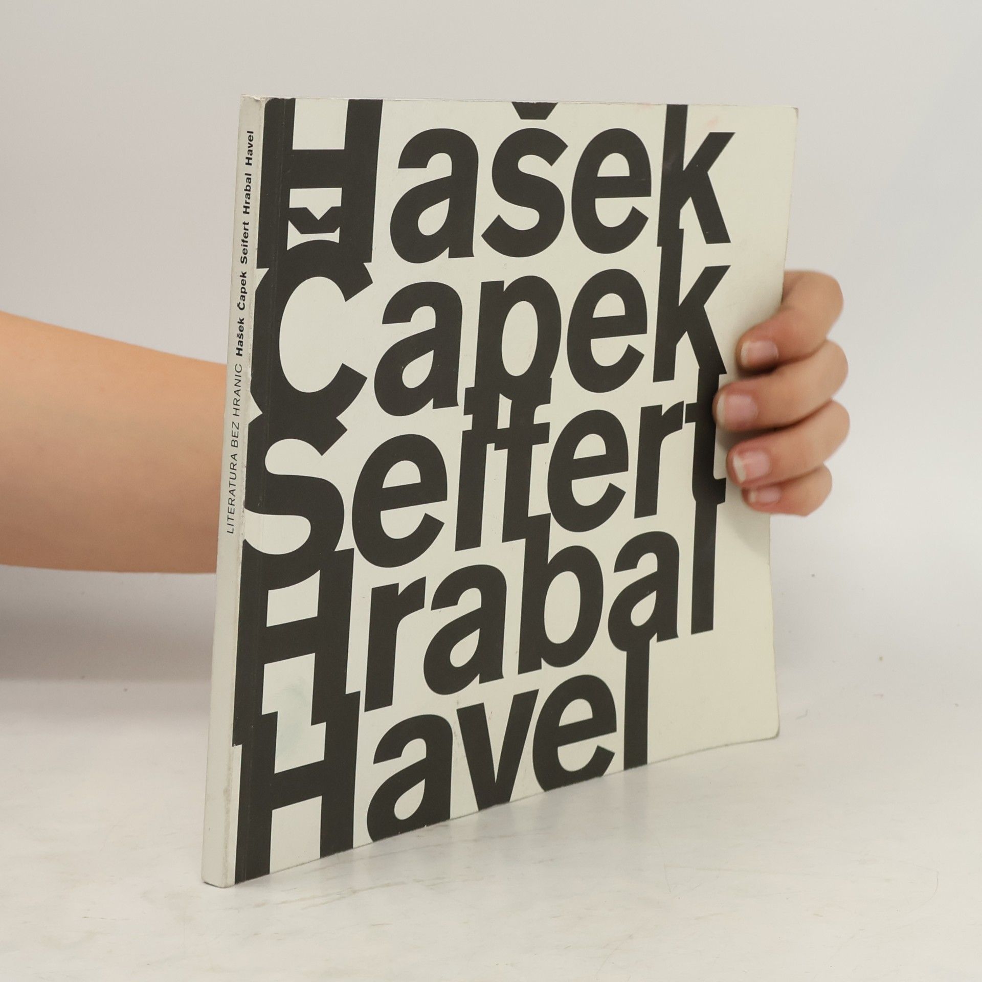 Kolektiv autorů Literatura bez hranic