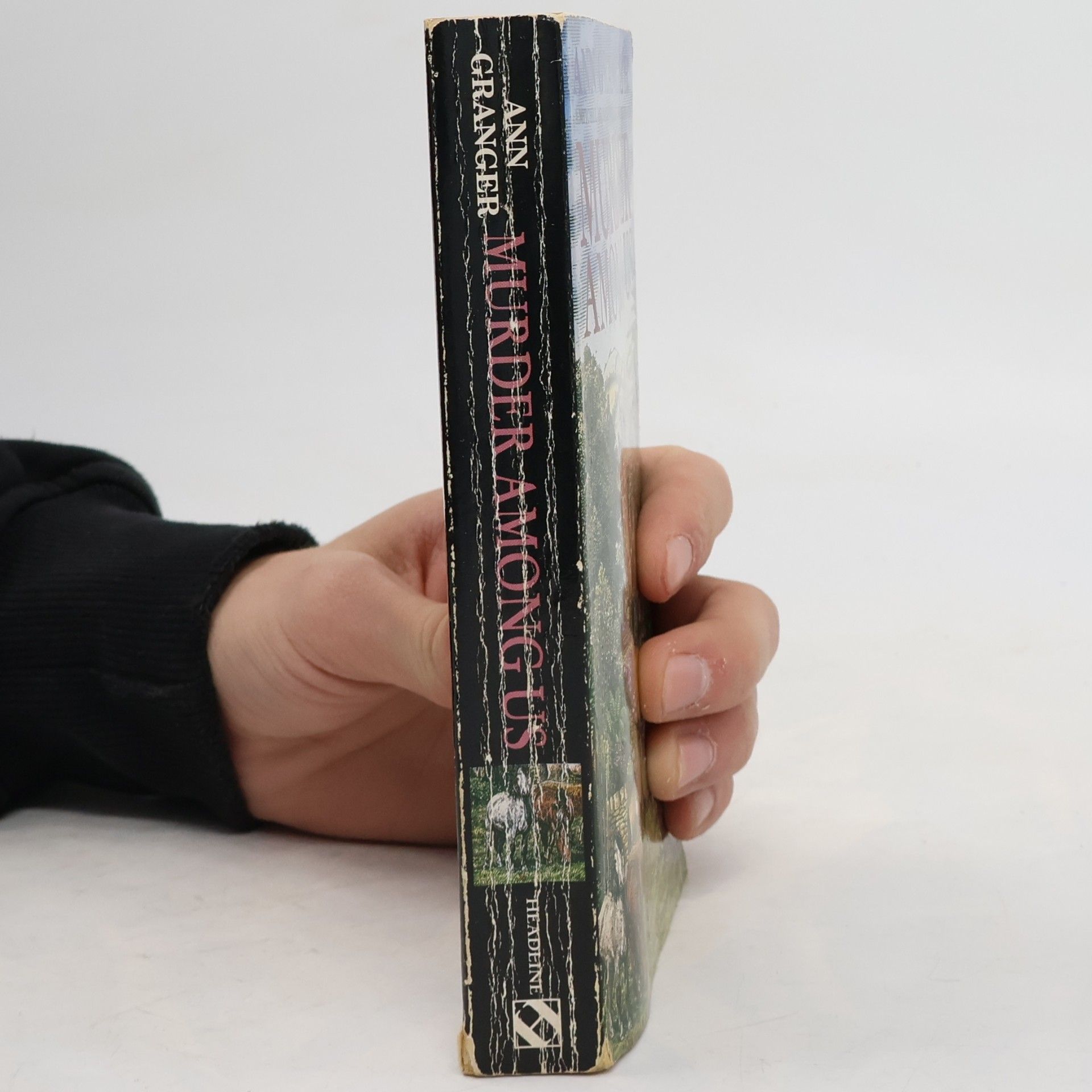 Ann Granger Murder Among Us (Mitchell & Markby 4)