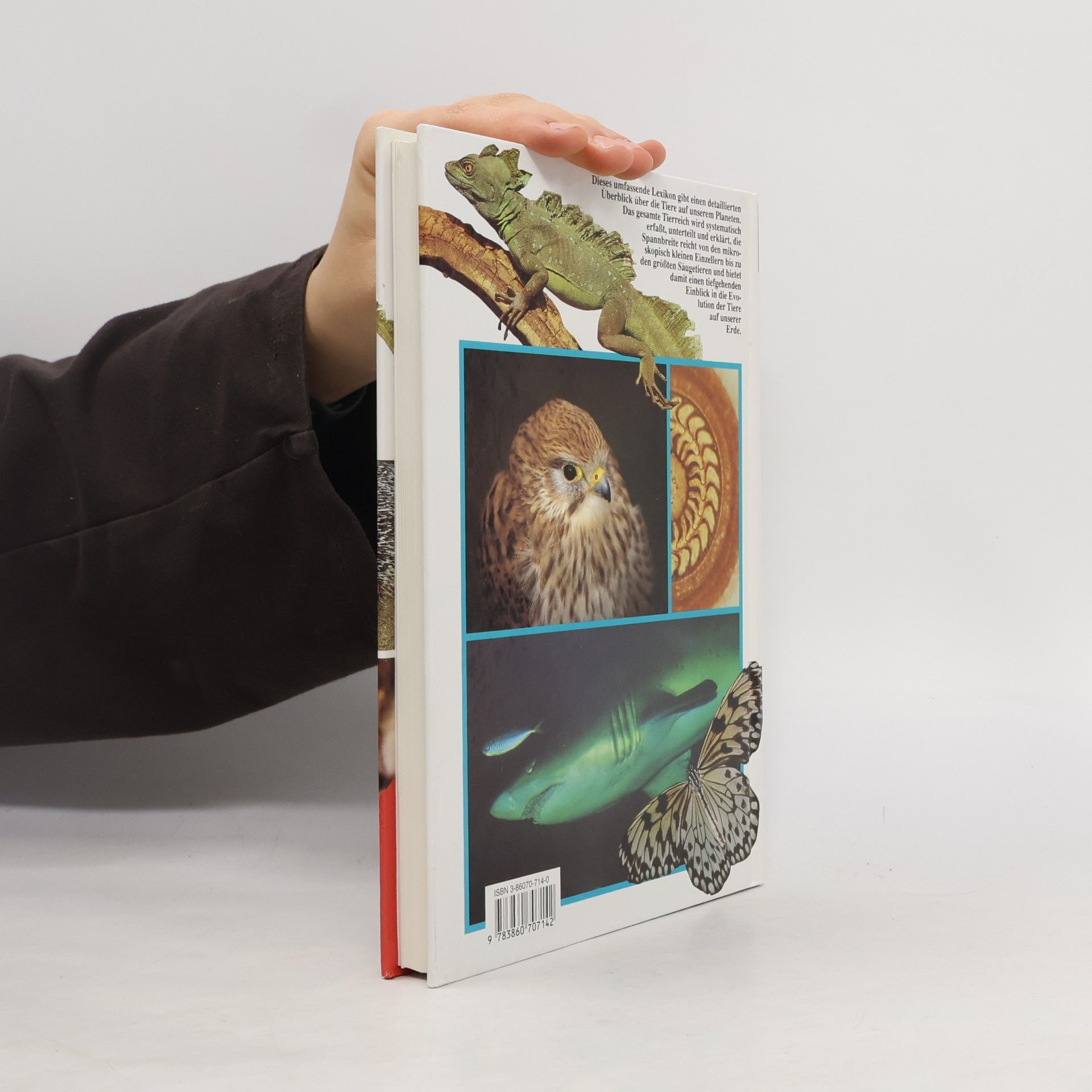 Zdeněk Veselovský Das große farbige Handbuch der Tiere