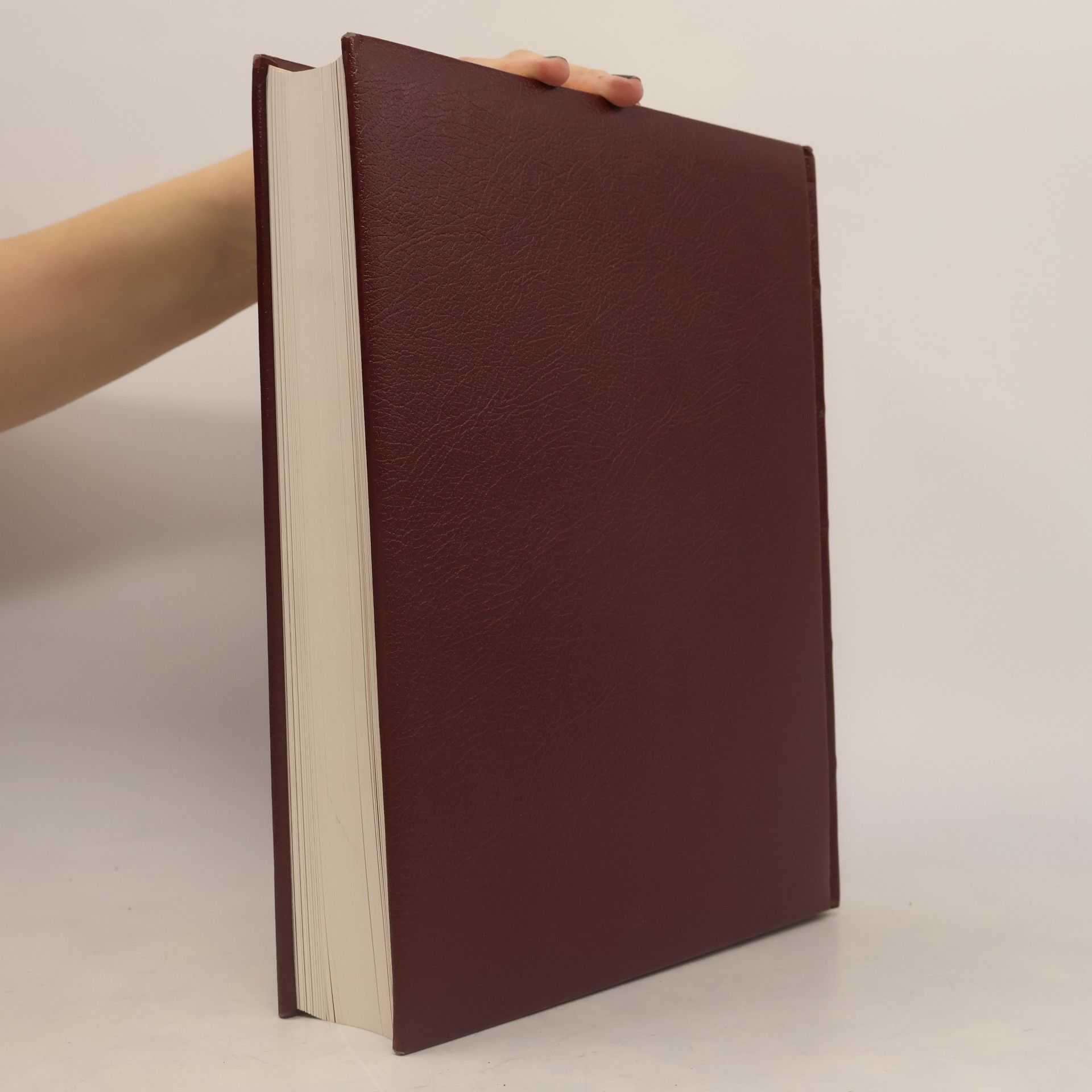 Autorenkollektiv Chronik 1 - Bibliothek des 20. Jahrhunderts