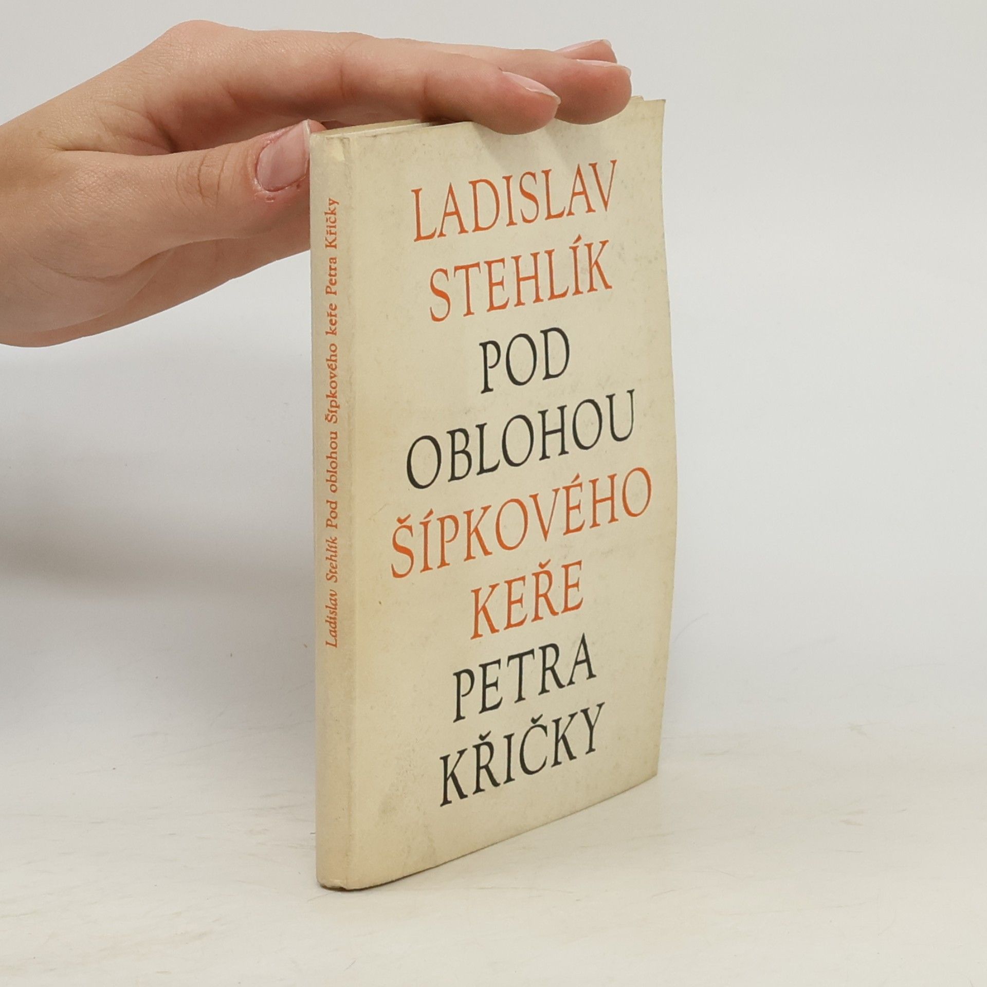 Pod oblohou Šípkového keře Petra Křičky