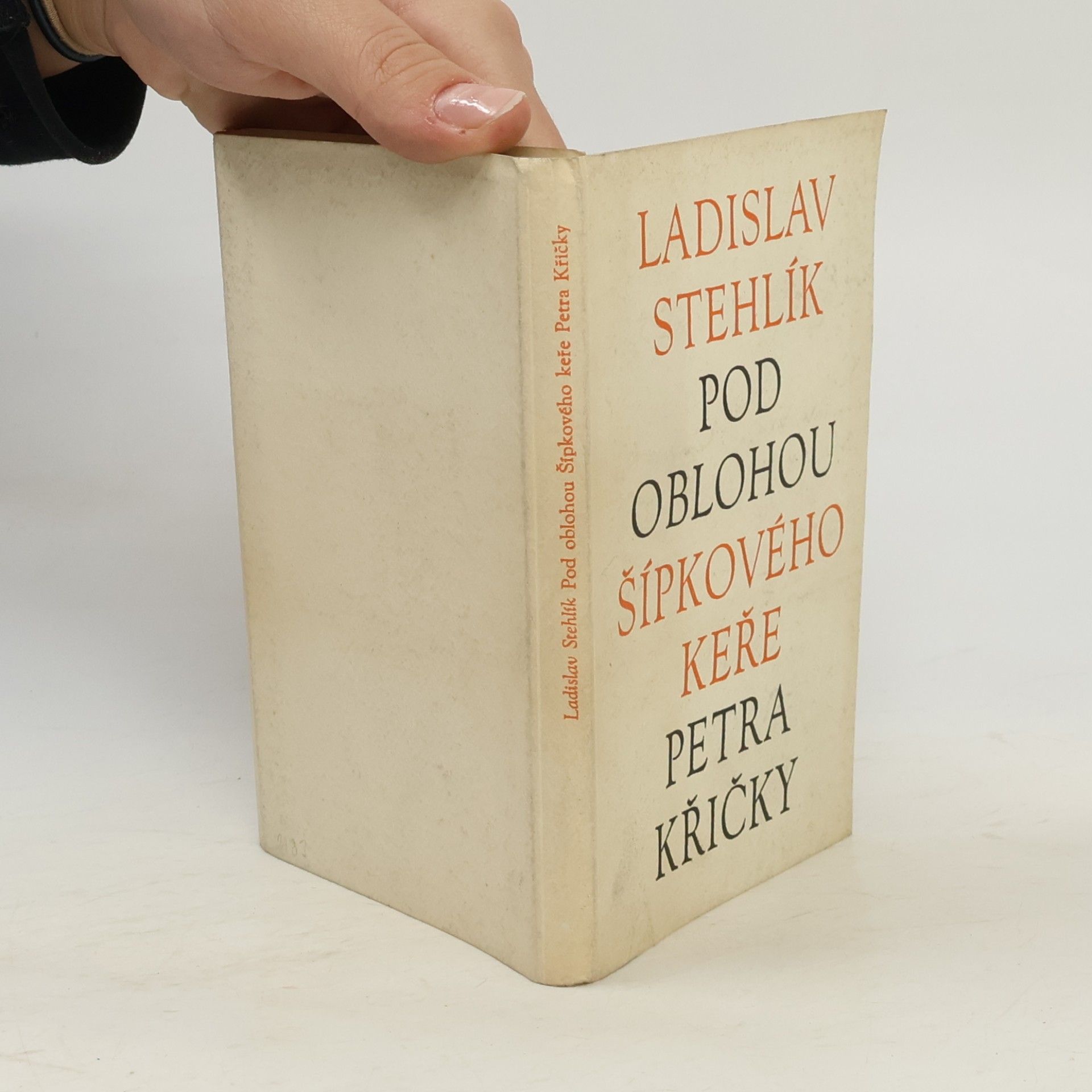 Ladislav Stehlík Pod oblohou Šípkového keře Petra Křičky