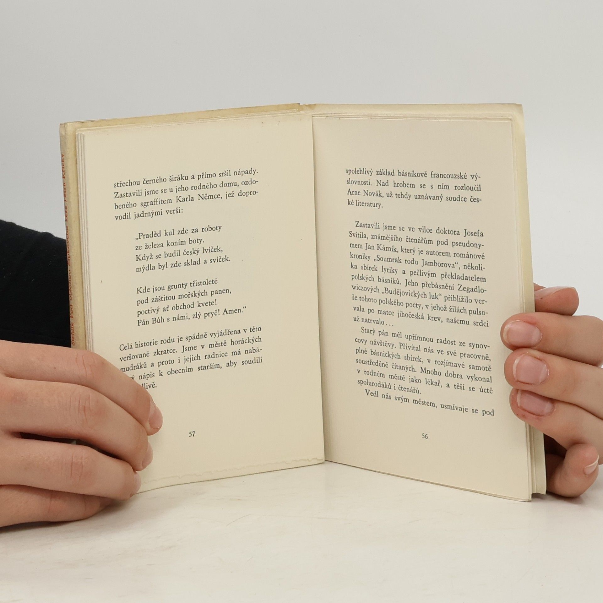 Ladislav Stehlík Pod oblohou Šípkového keře Petra Křičky