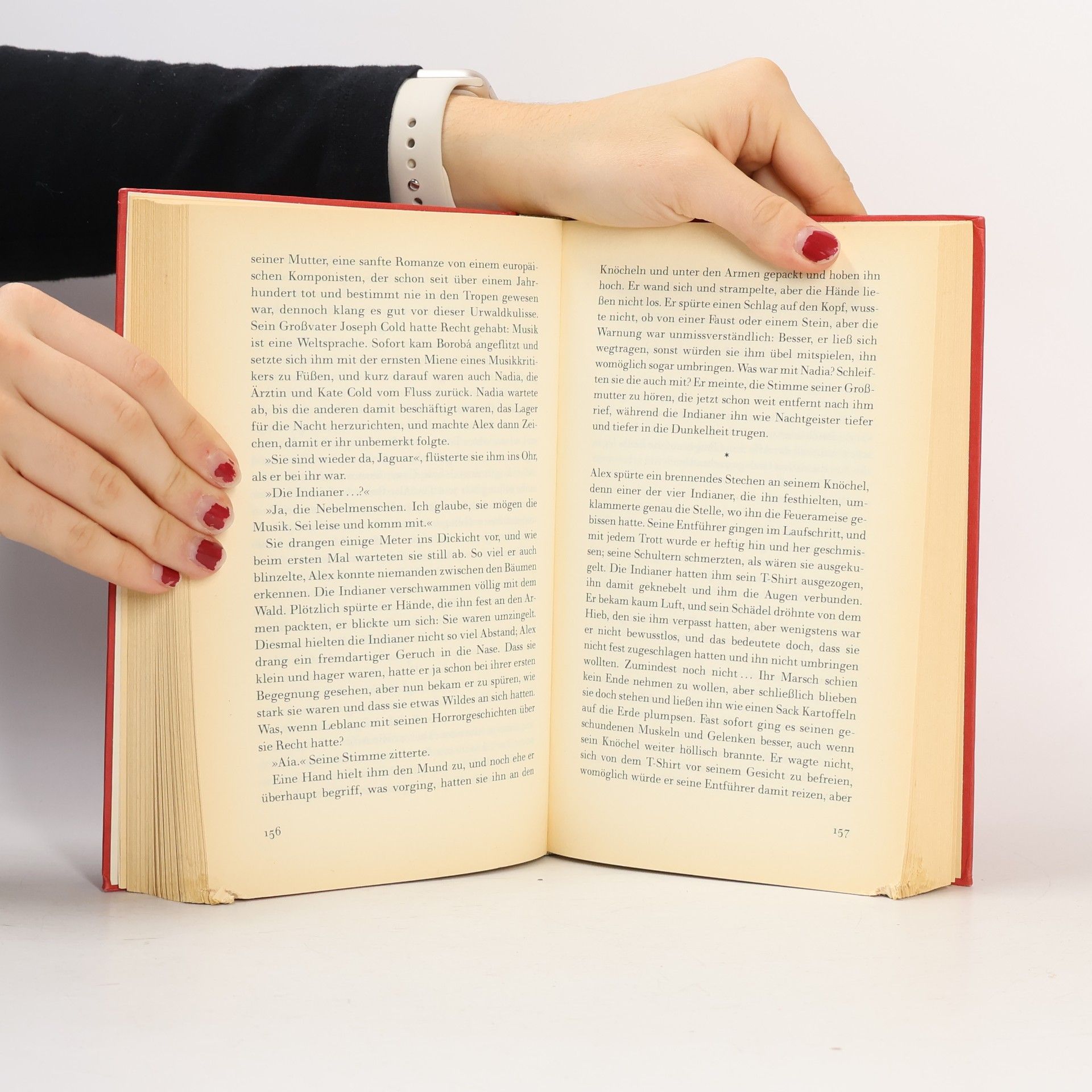 Isabel Allende Die Stadt der wilden Götter