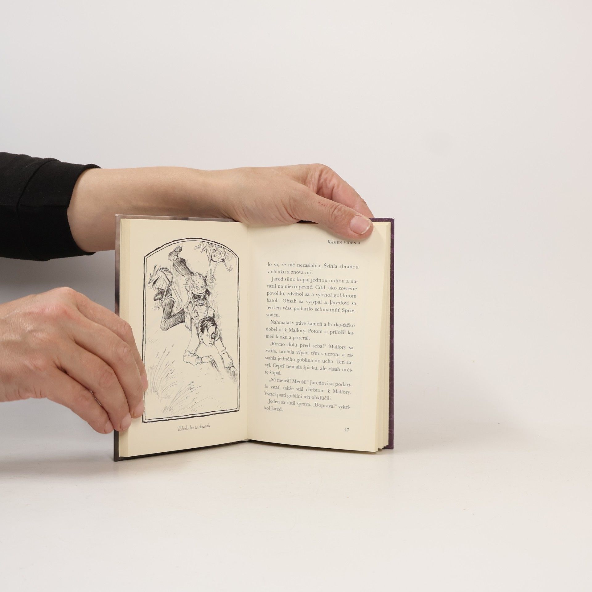 Tony DiTerlizzi Kronika rodu Spiderwickovcov 2.