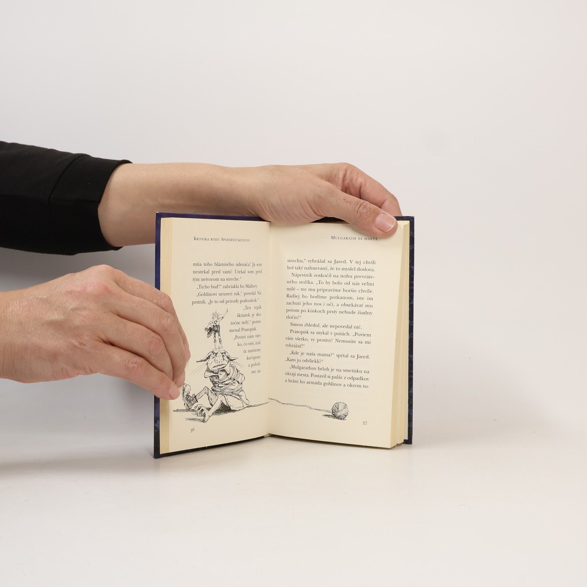 Tony DiTerlizzi Kronika rodu Spiderwickovcov 5. Mulgarath sa hnevá