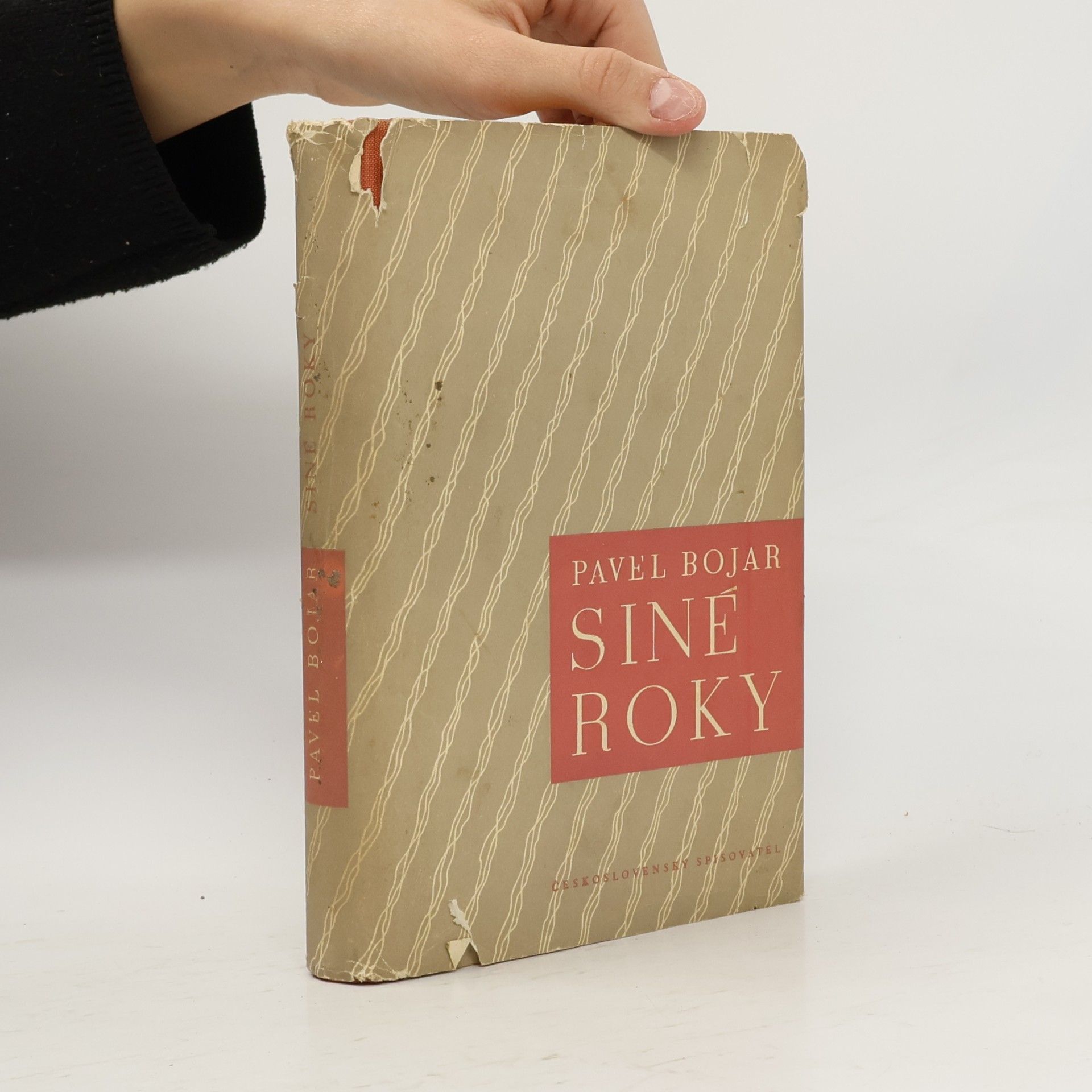 Pavel Bojar Siné roky
