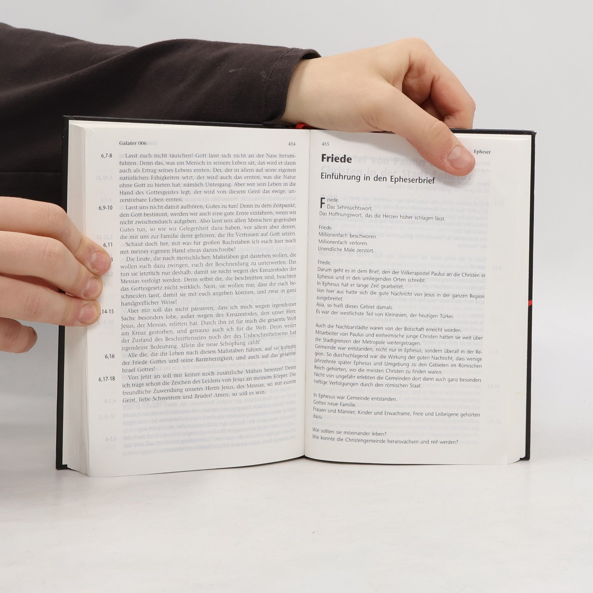 Werner, Roland Das Buch - Taschenausgabe NT