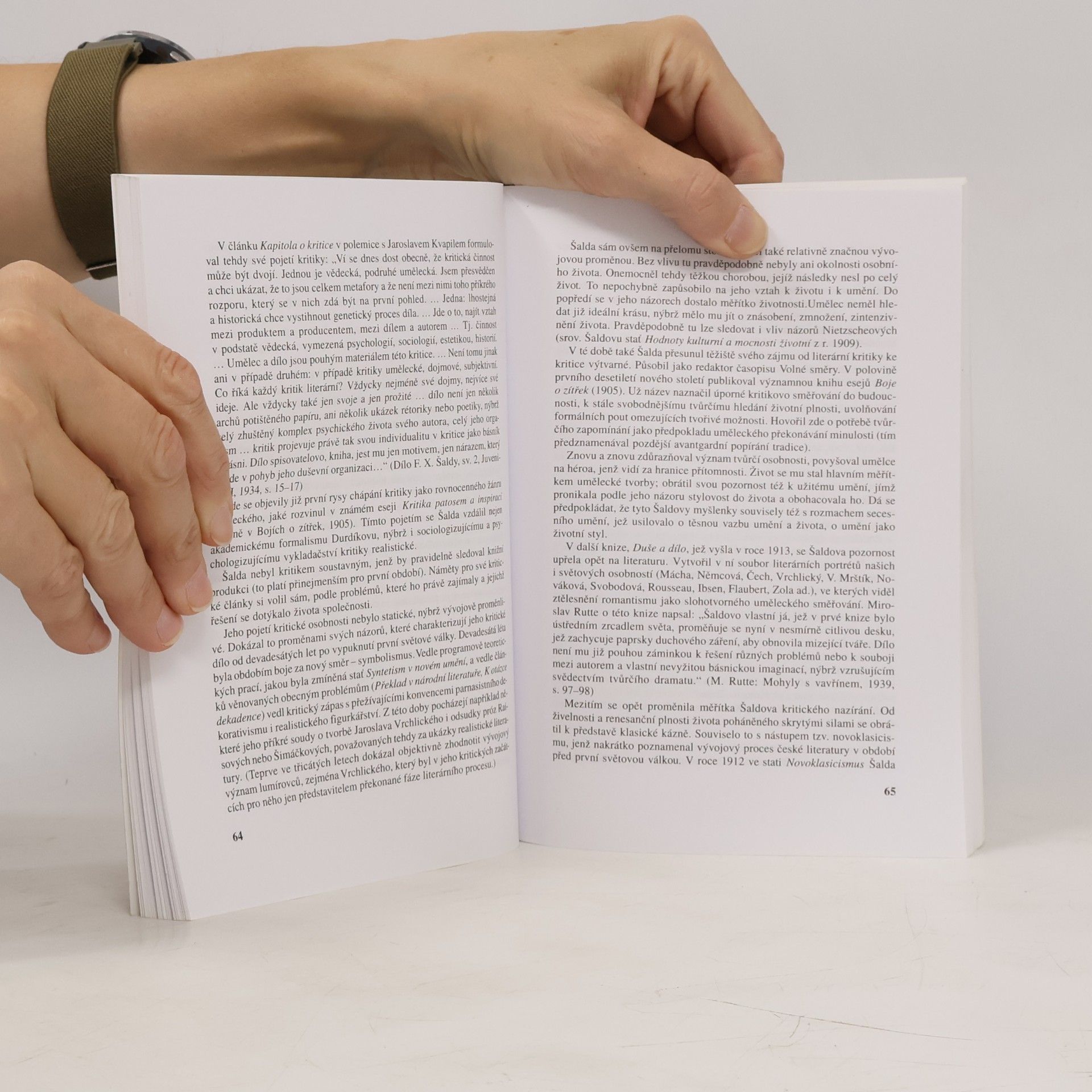 Aleš Haman Nástin dějin české literární kritiky