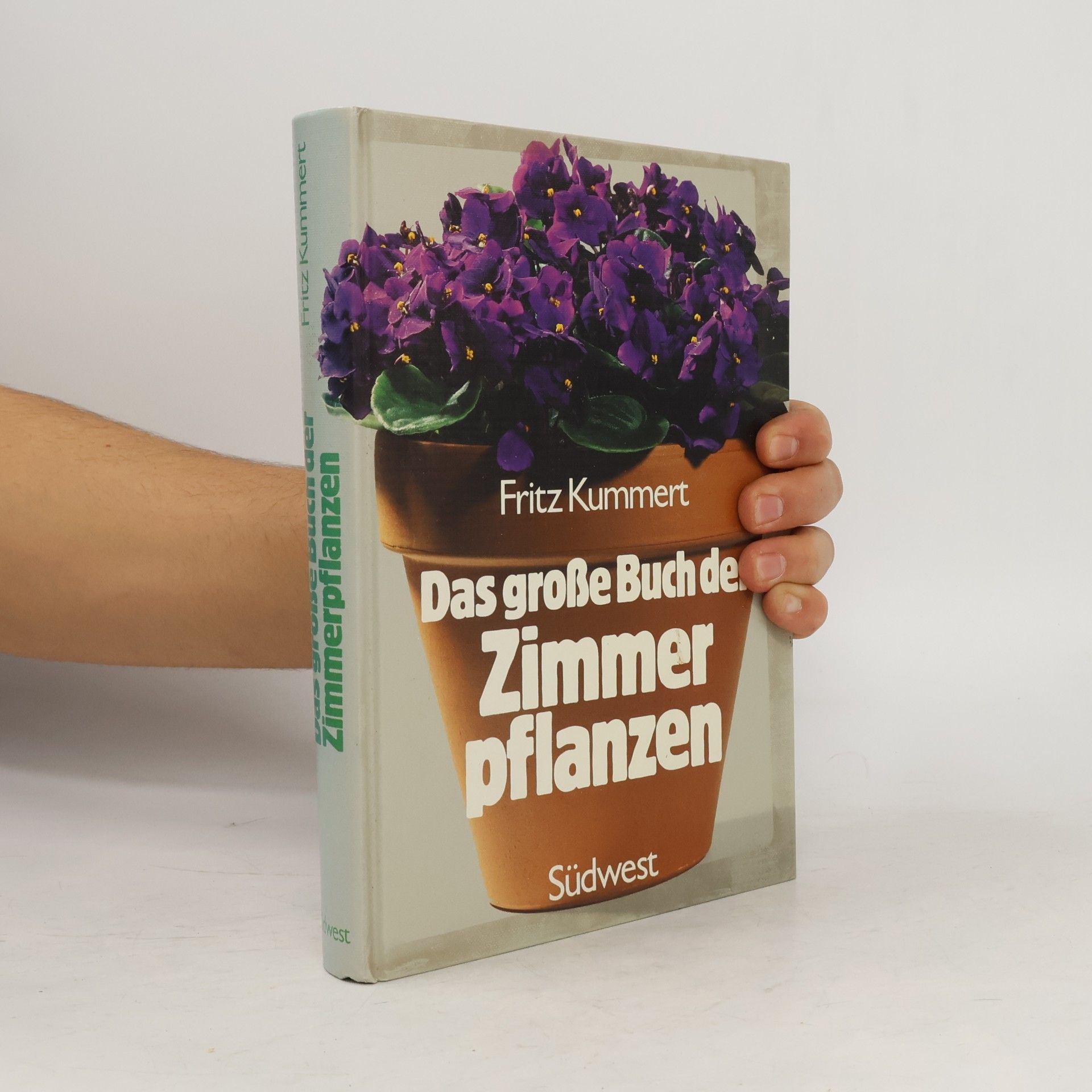 Kolektiv autorů Das große Buch der Zimmerpflanzen