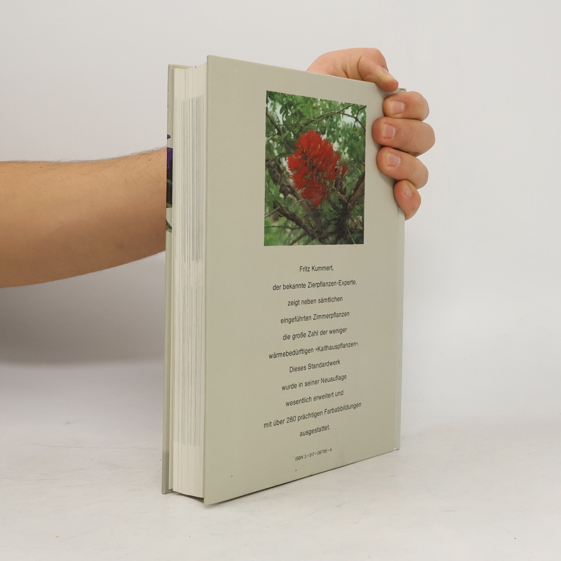 Kolektiv autorů Das große Buch der Zimmerpflanzen