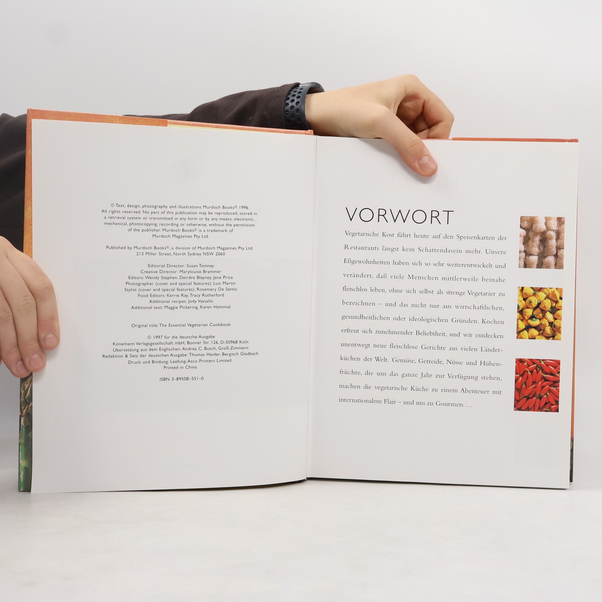 Luis Martín Das Große Buch der Vegetarischen Küche