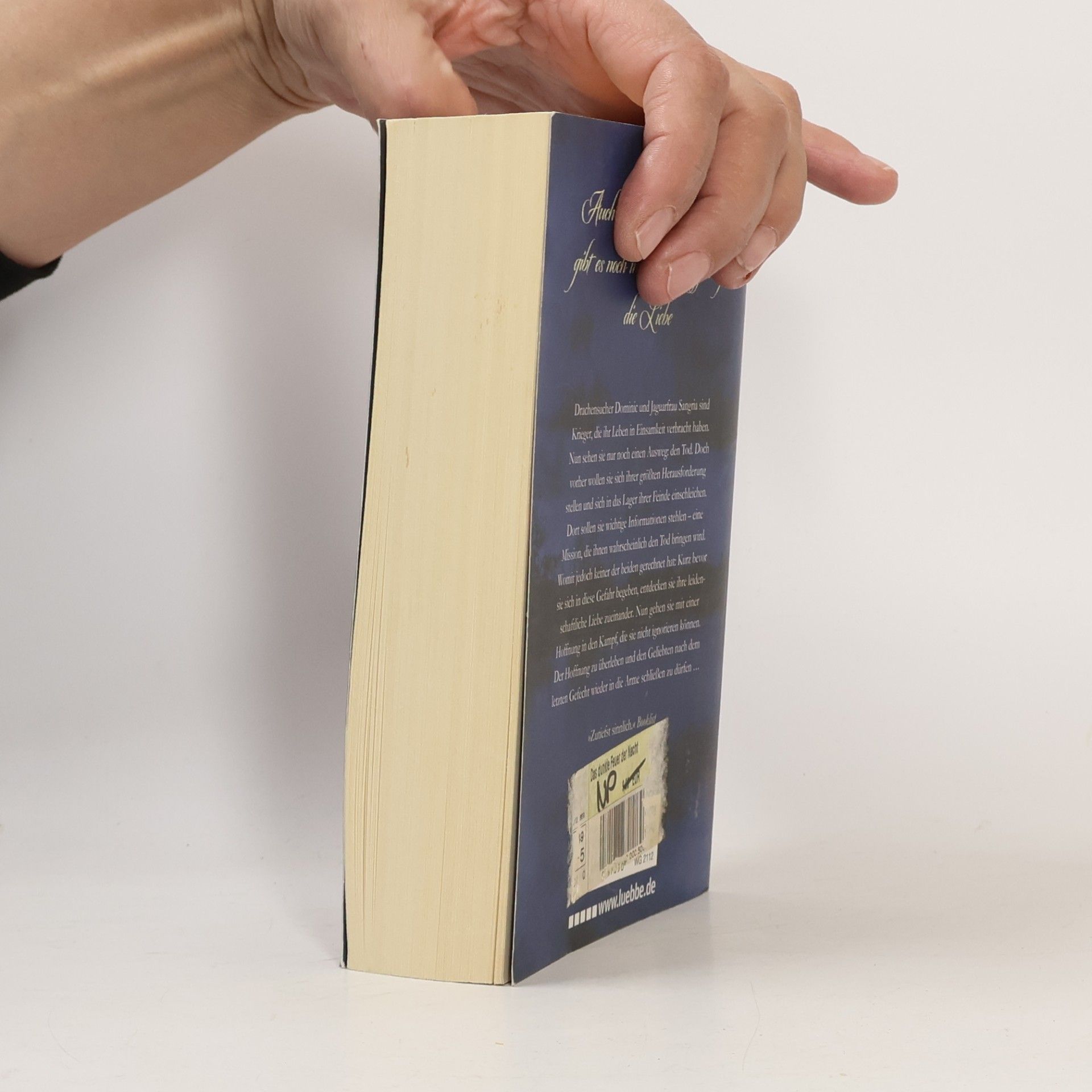 Christine Feehan Das dunkle Feuer der Nacht