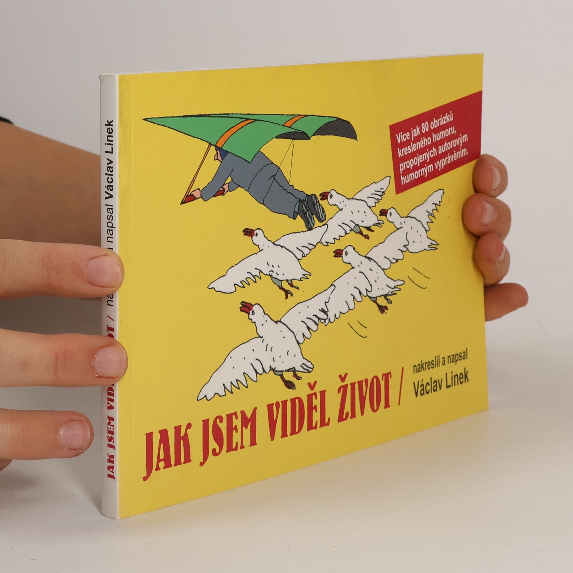 Jak jsem viděl život