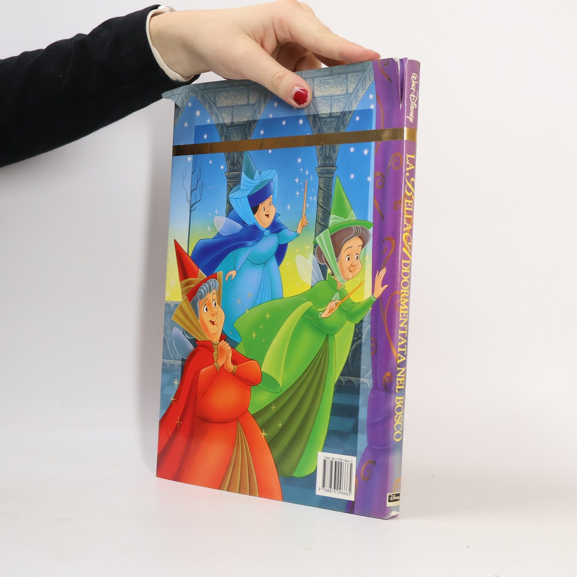 Walt Disney: La Bella Addormentata nel Bosco