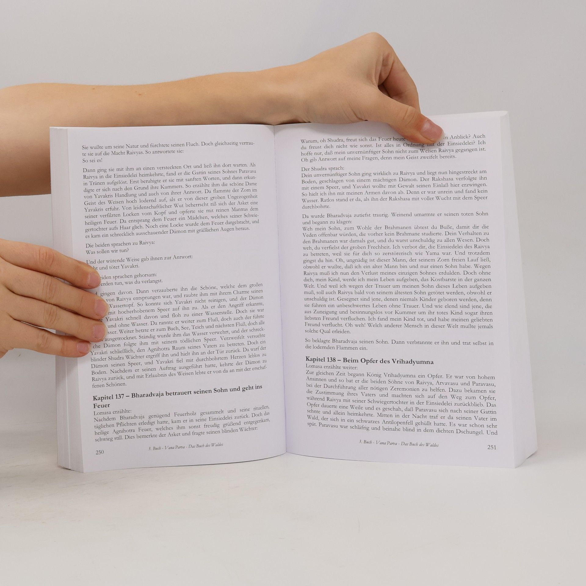 Vyasa Mahabharata (Buch 3)