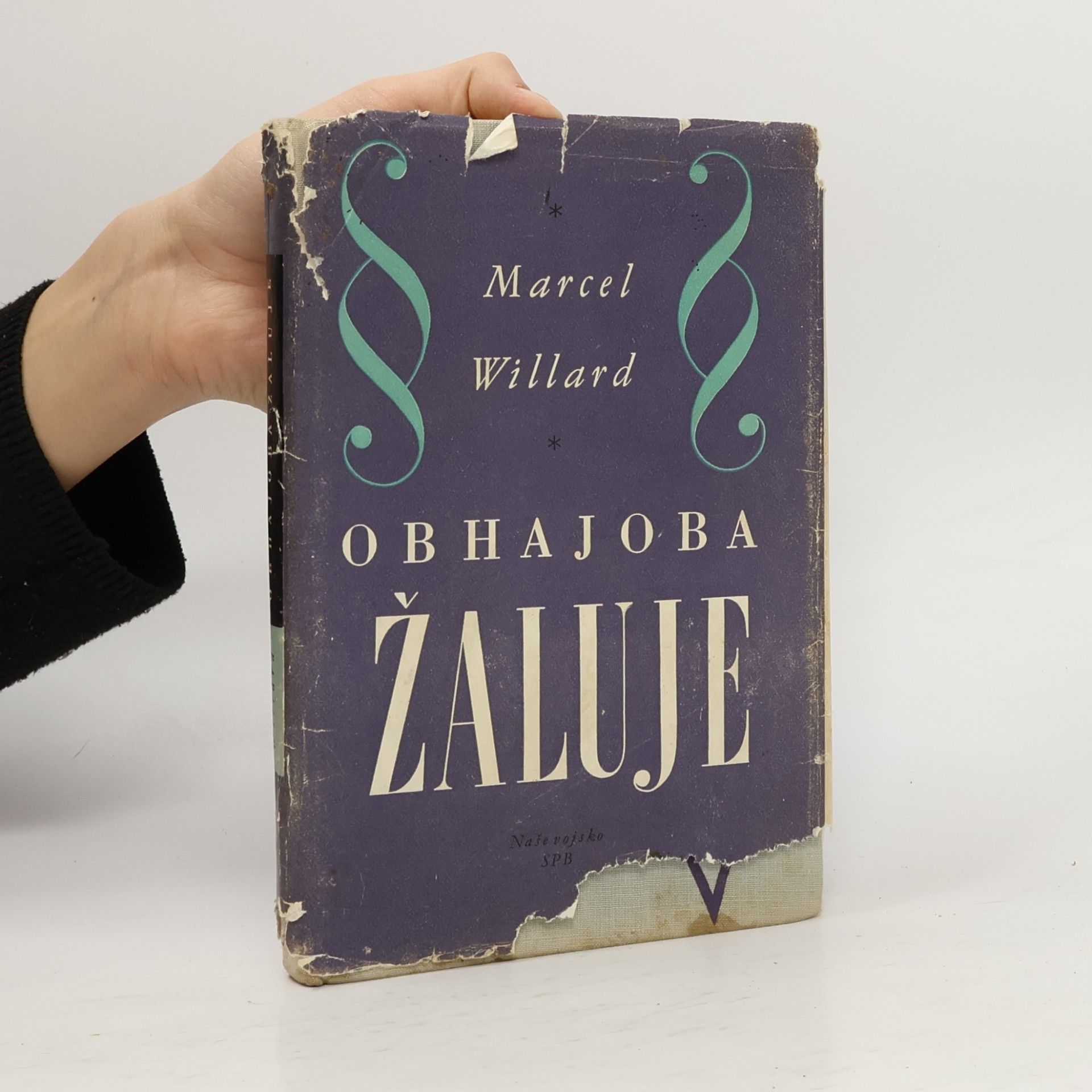 Marcel Willard Obhajoba žaluje