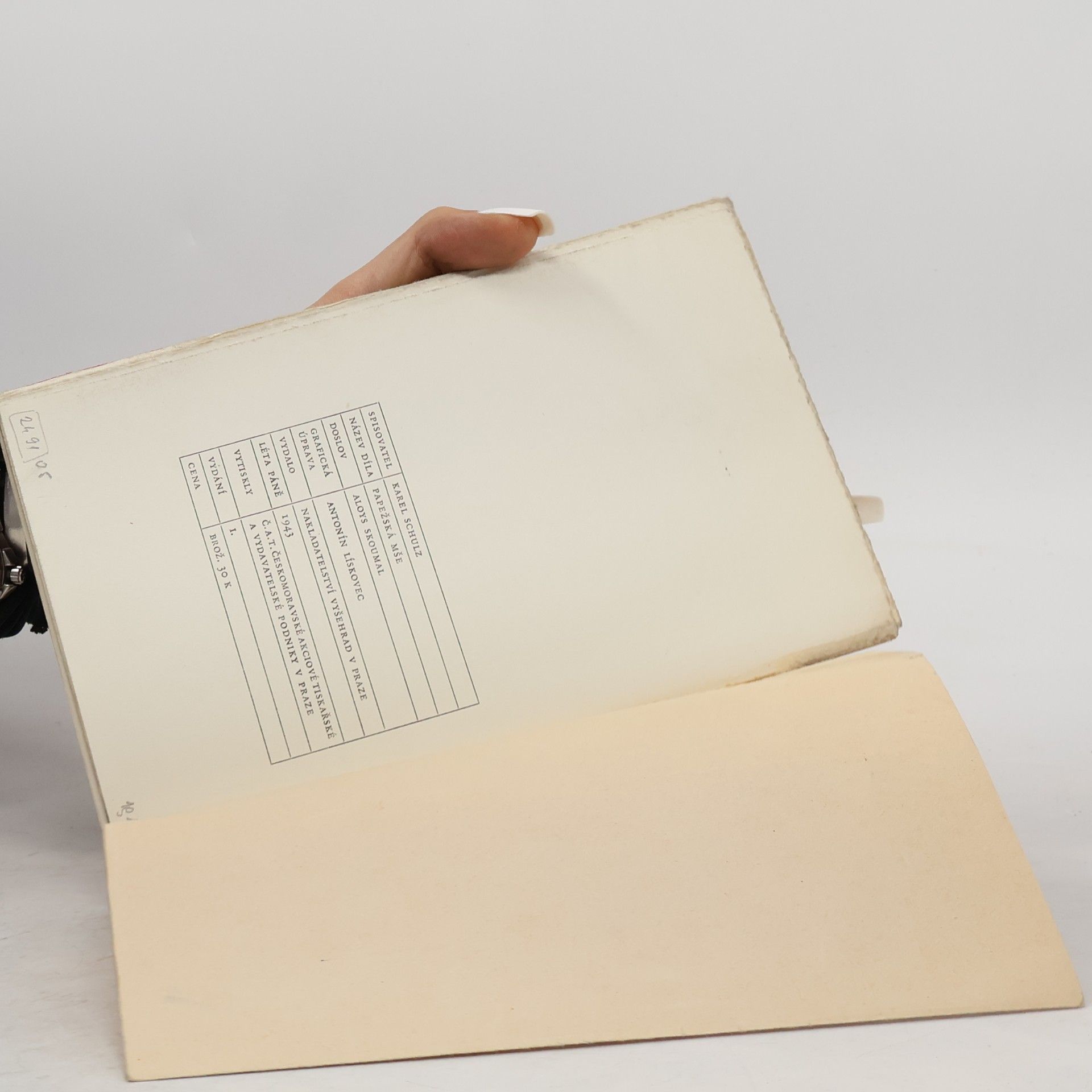 Karel Schulz Papežská mše. Fragment druhého dílu michelangelovské trilogie Kámen a bolest