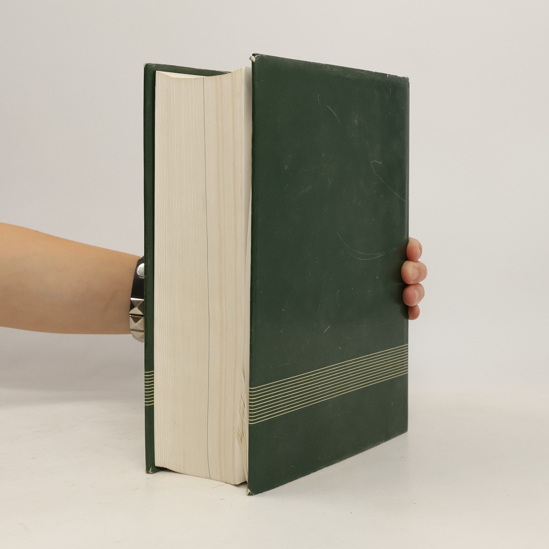 Autorenkollektiv Dizionario Inglese-Italiano, Italiano-Inglese