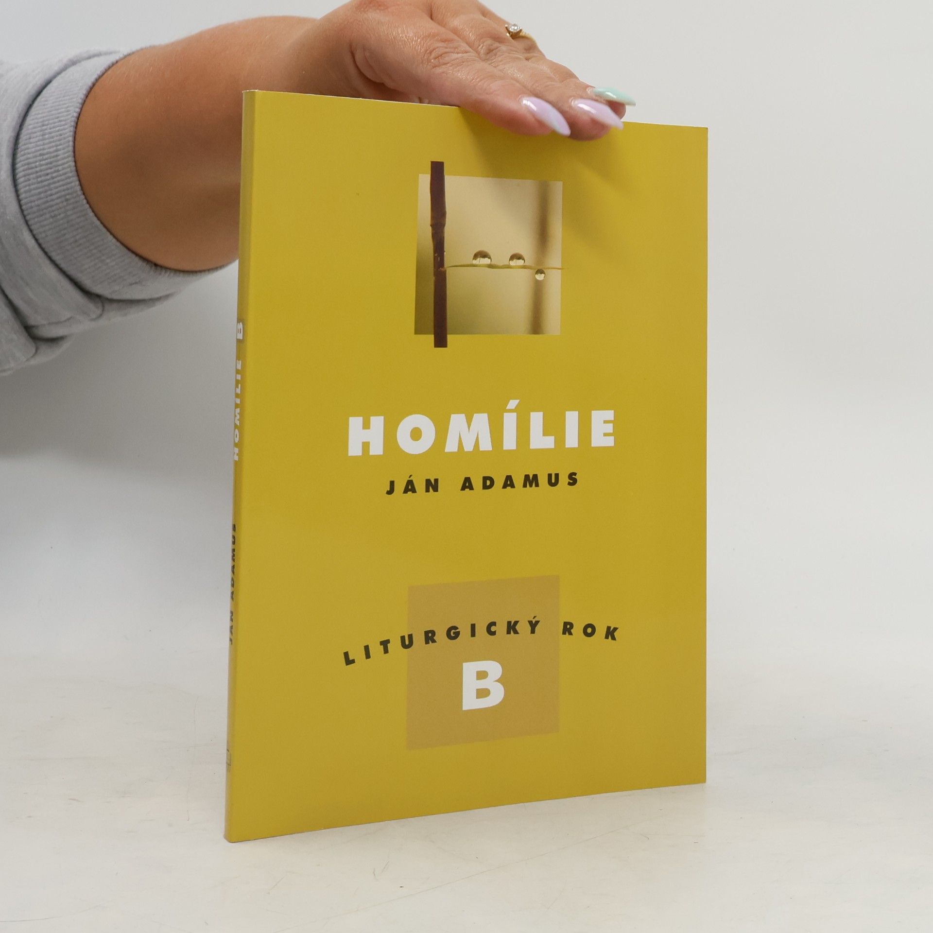 Homílie