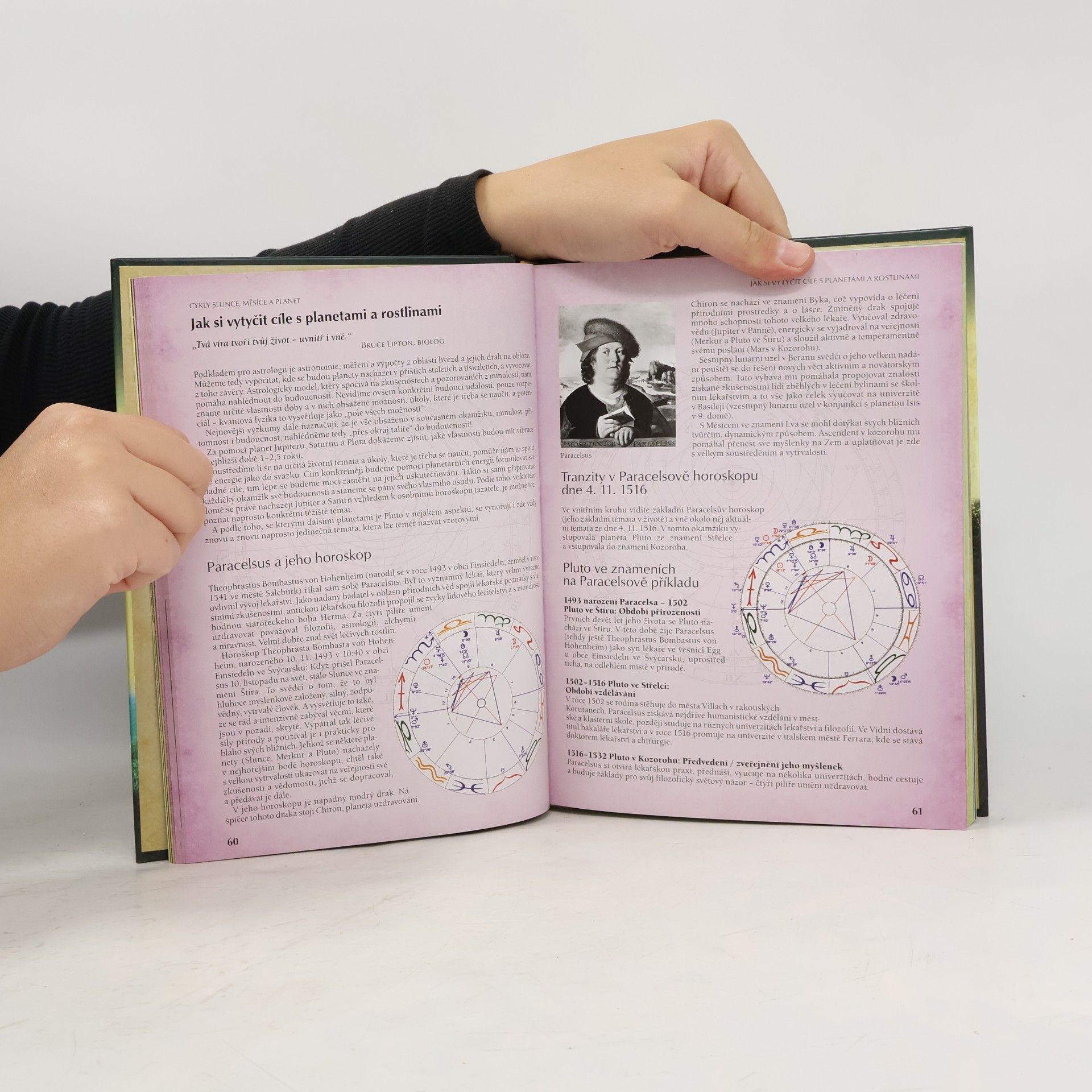 Yvonne H. Koch Astrologie rostlin : léčivá síla rostlin a planet
