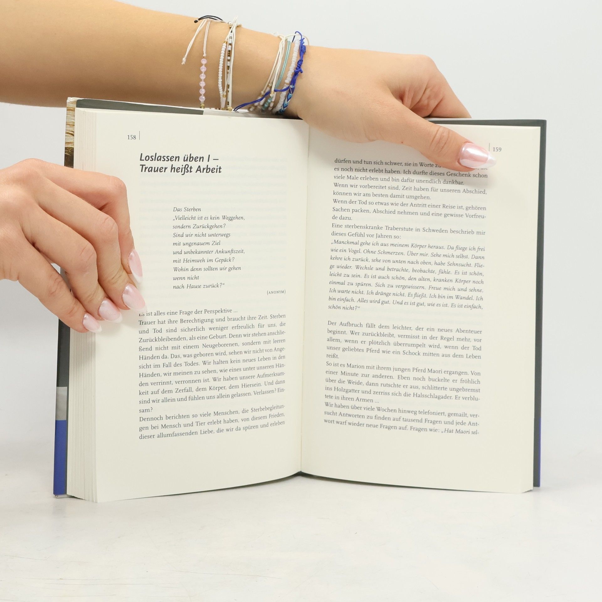 Karin Müller Wenn Pferde von uns gehen