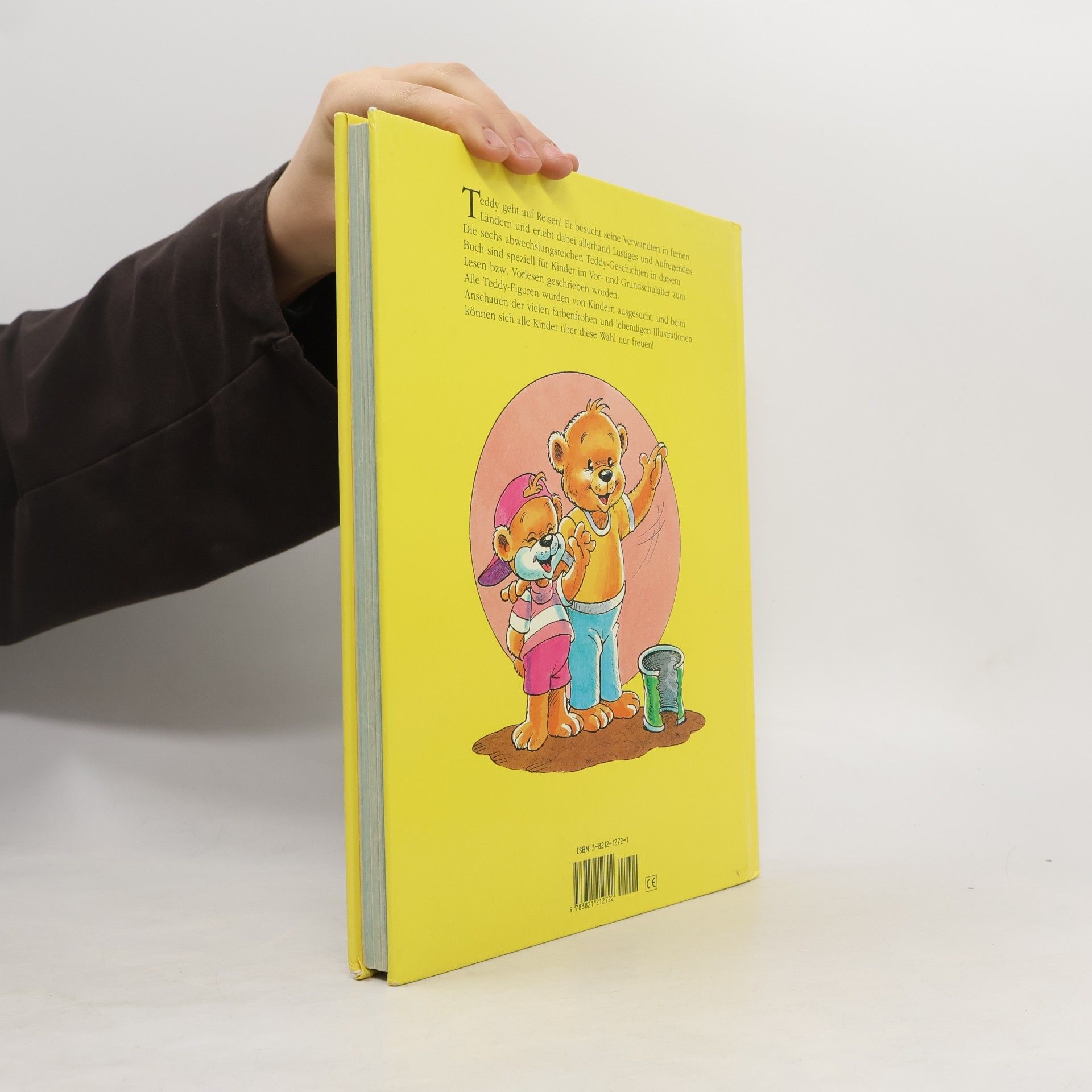 Autorenkollektiv Teddy: Auf weltreise