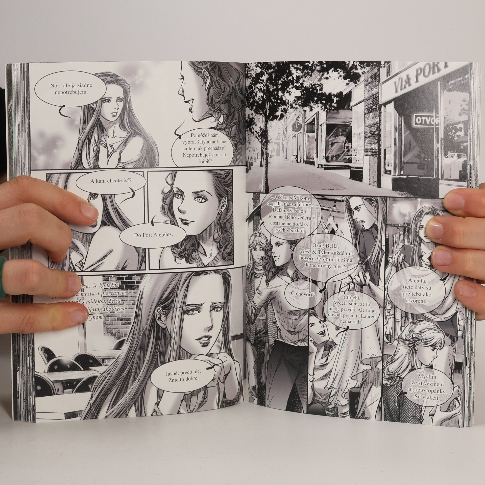 Stephenie Meyer Súmrak: grafický román. 1. diel