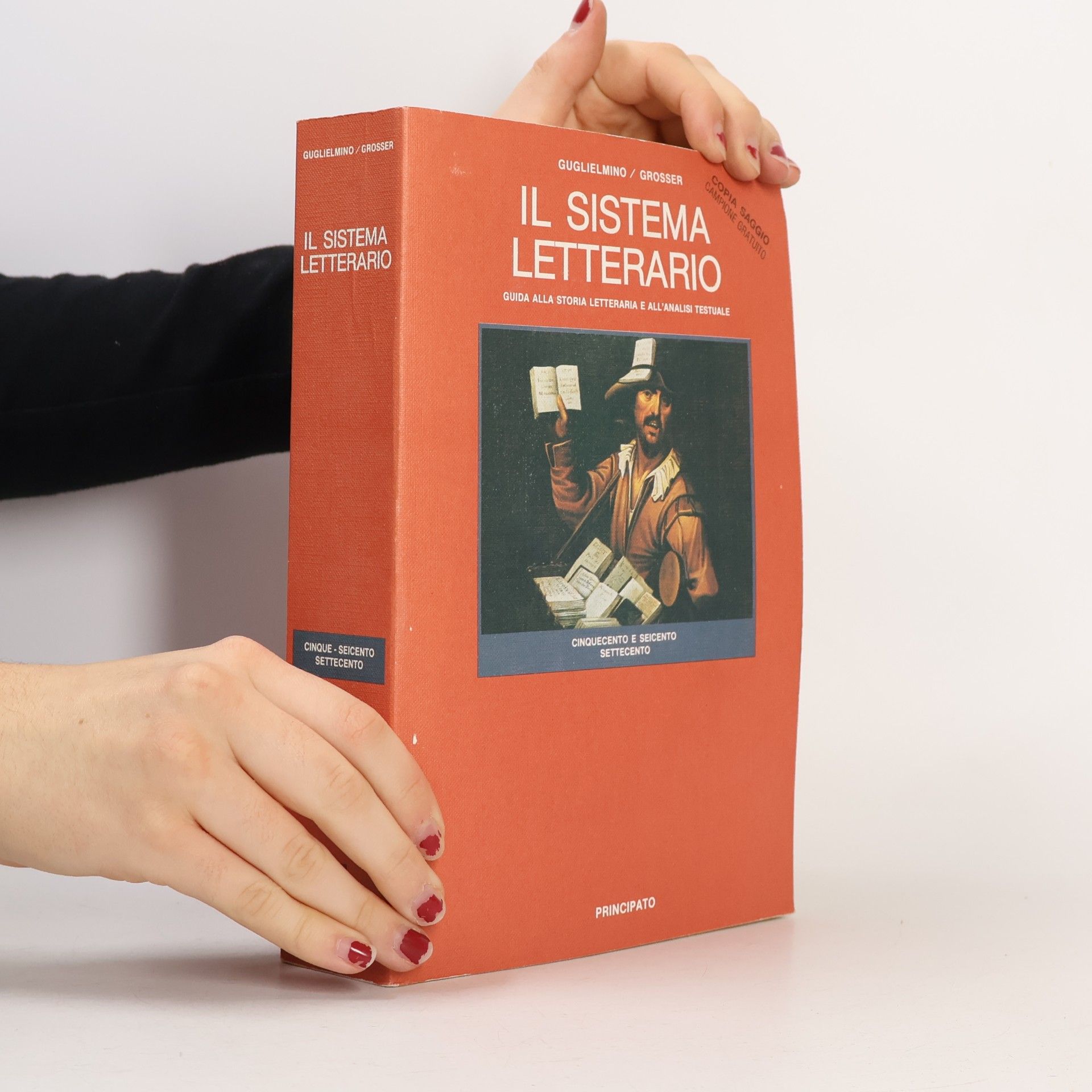 Il Sistema Letterario