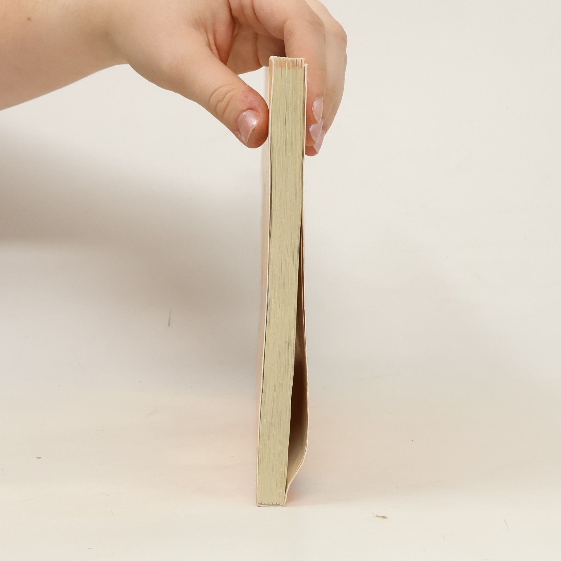 Brigitte Rohls Praxisorientierte Heilerziehungspflege, Bausteine der Pflege