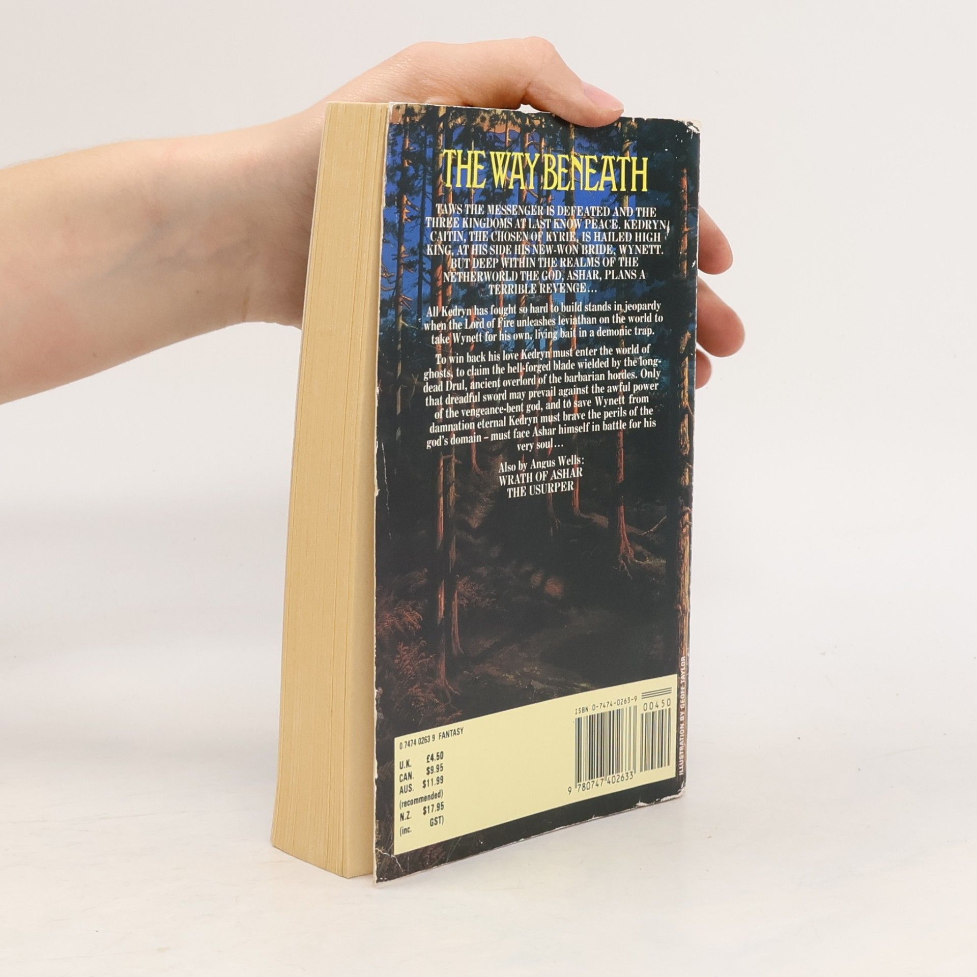 Angus Wells The Kingdoms - 3: Way Beneath