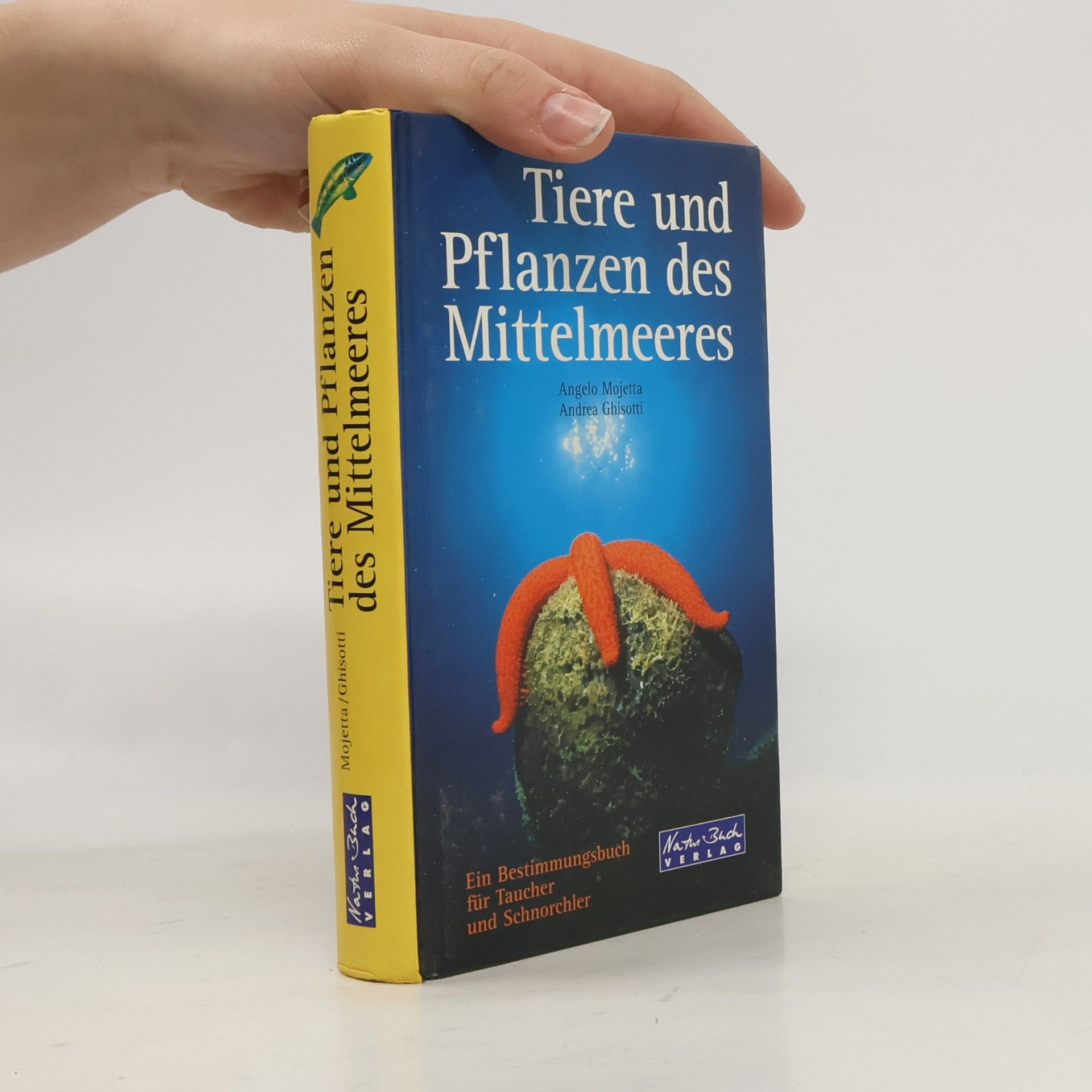 Tiere und Pflanzen des Mittelmeeres