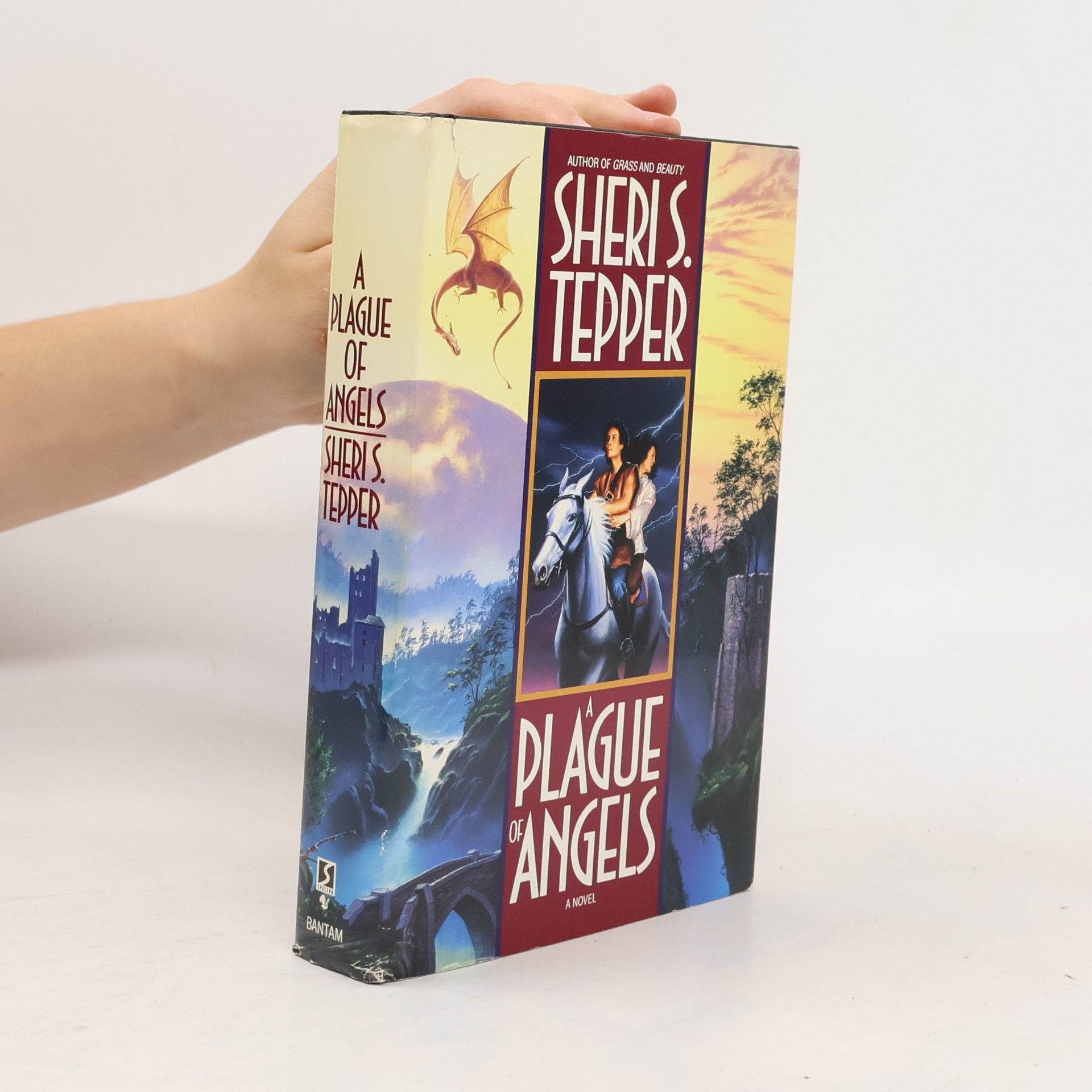 A Plague of Angels