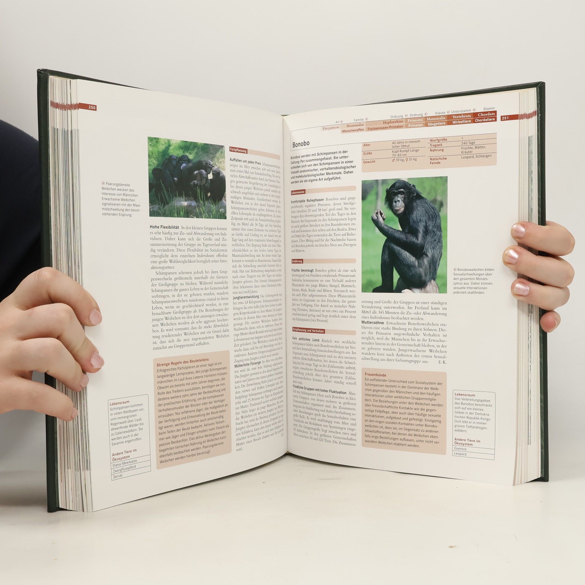 Autorenkollektiv Faszination Natur. Säugetiere I