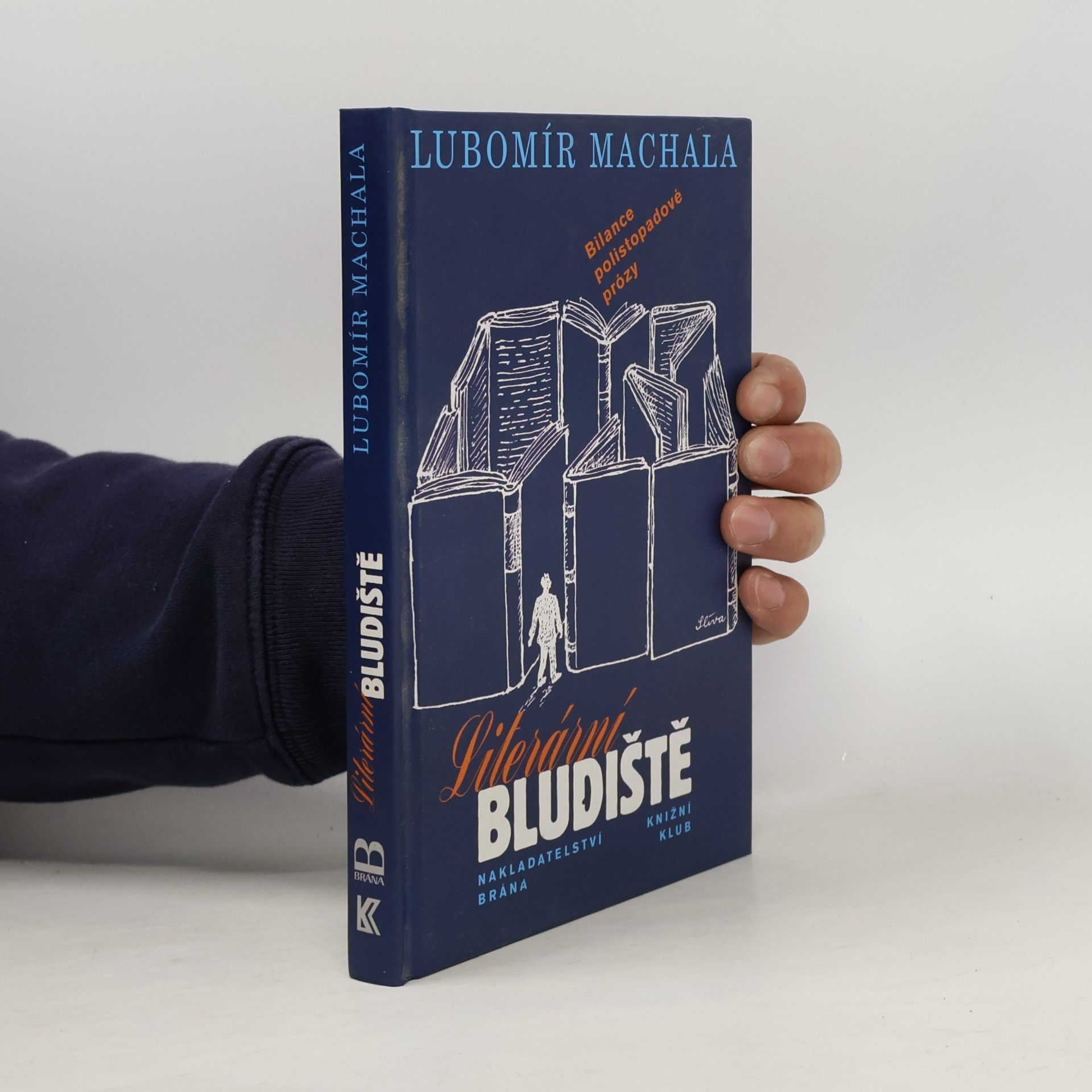Literární bludiště. Bilance polistopadové prózy