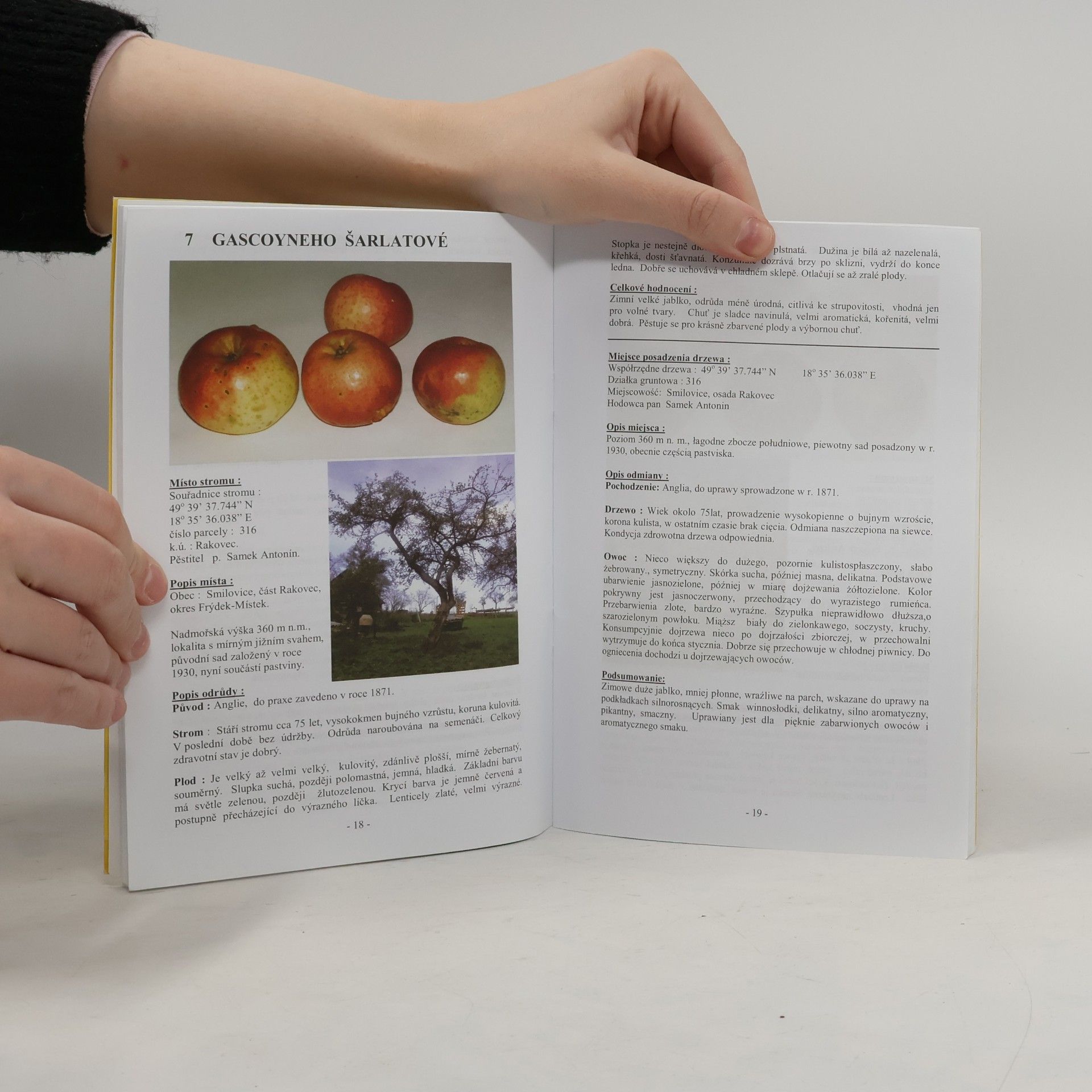 Kolektív autorov Katalog starých odrůd jabloní / Katalog starych odmian jabłoni