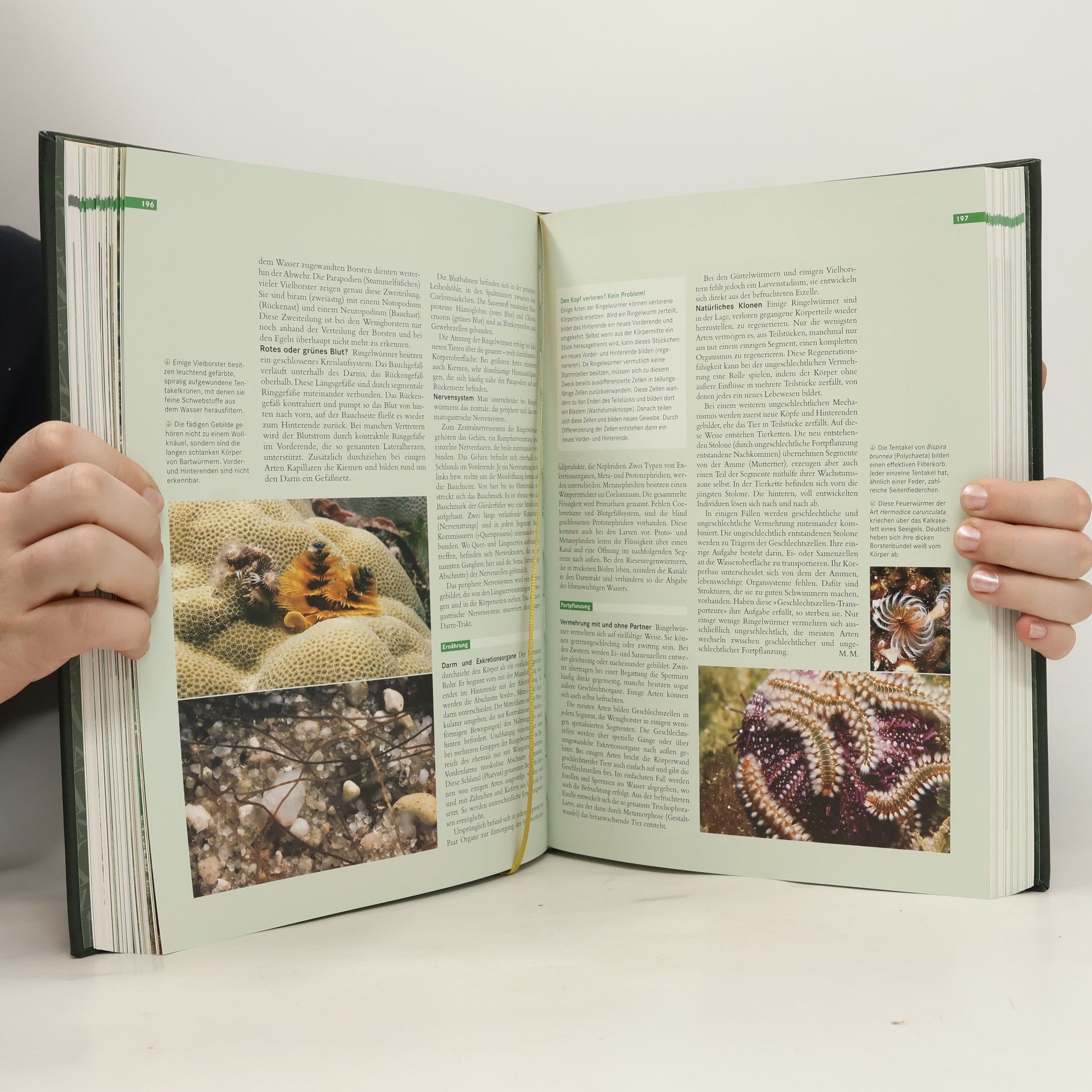 Kolektiv autorů Faszination Natur
