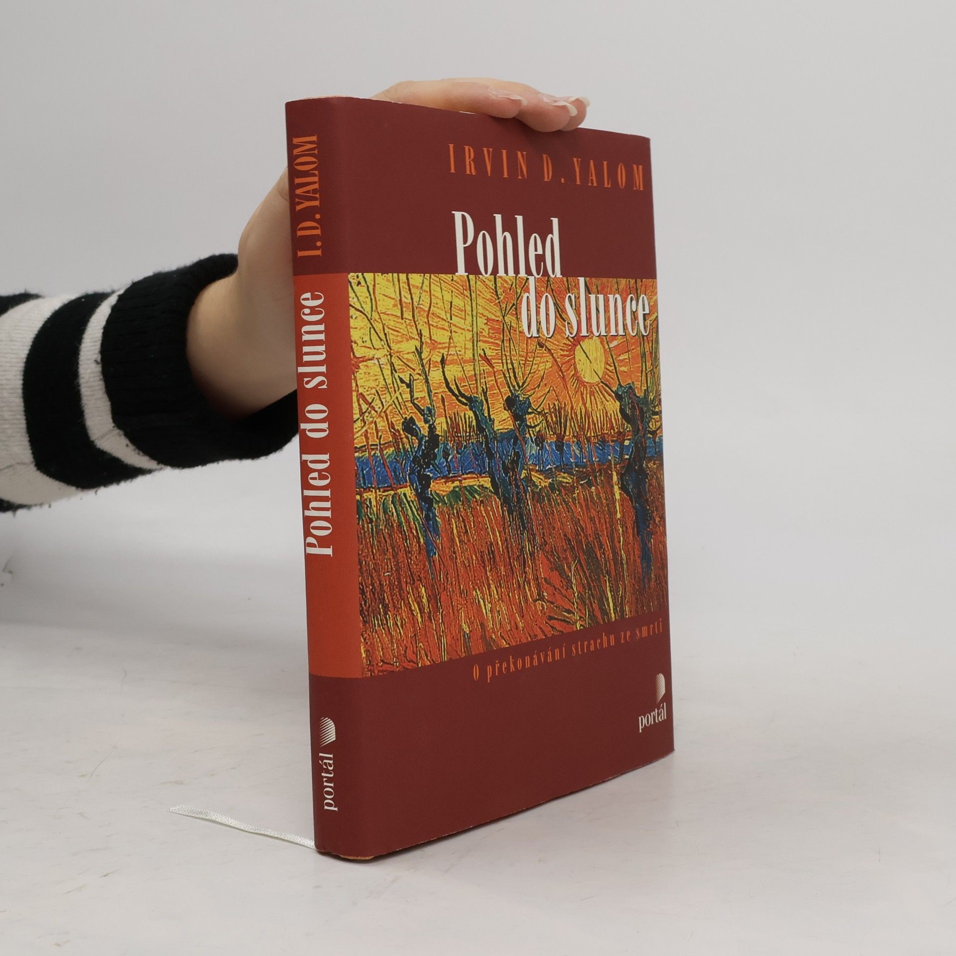 Irvin Yalom Pohled do slunce