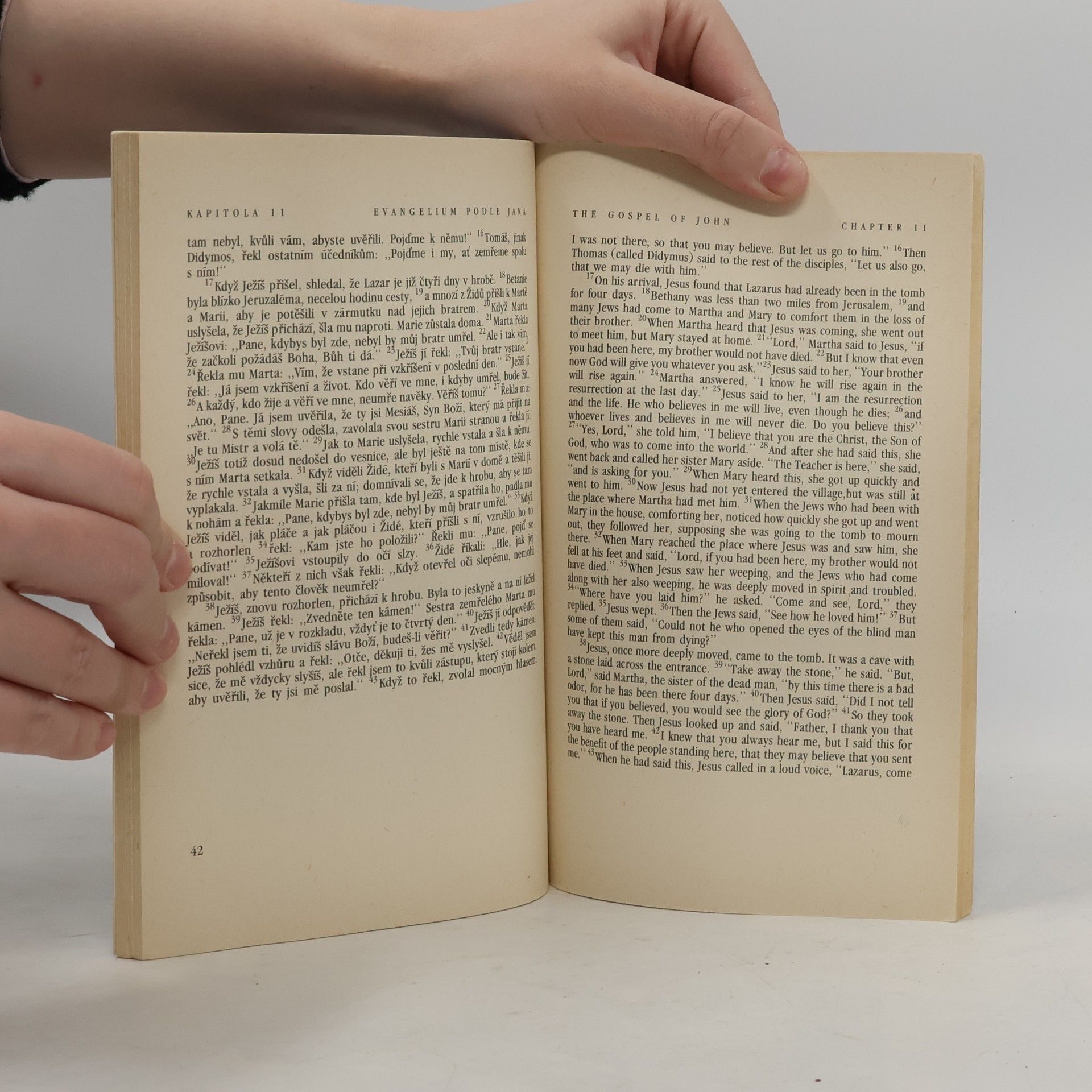 Kolektív autorov Evangelium podle Jana. The Gospel of John