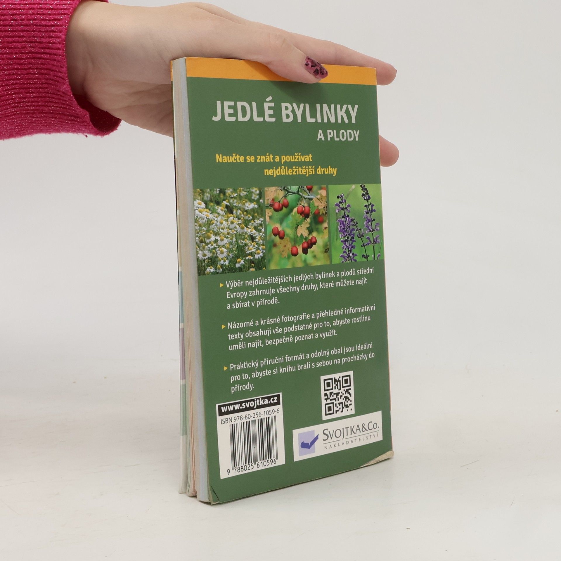 Helga Hofmann-Sieber Jedlé bylinky a plody