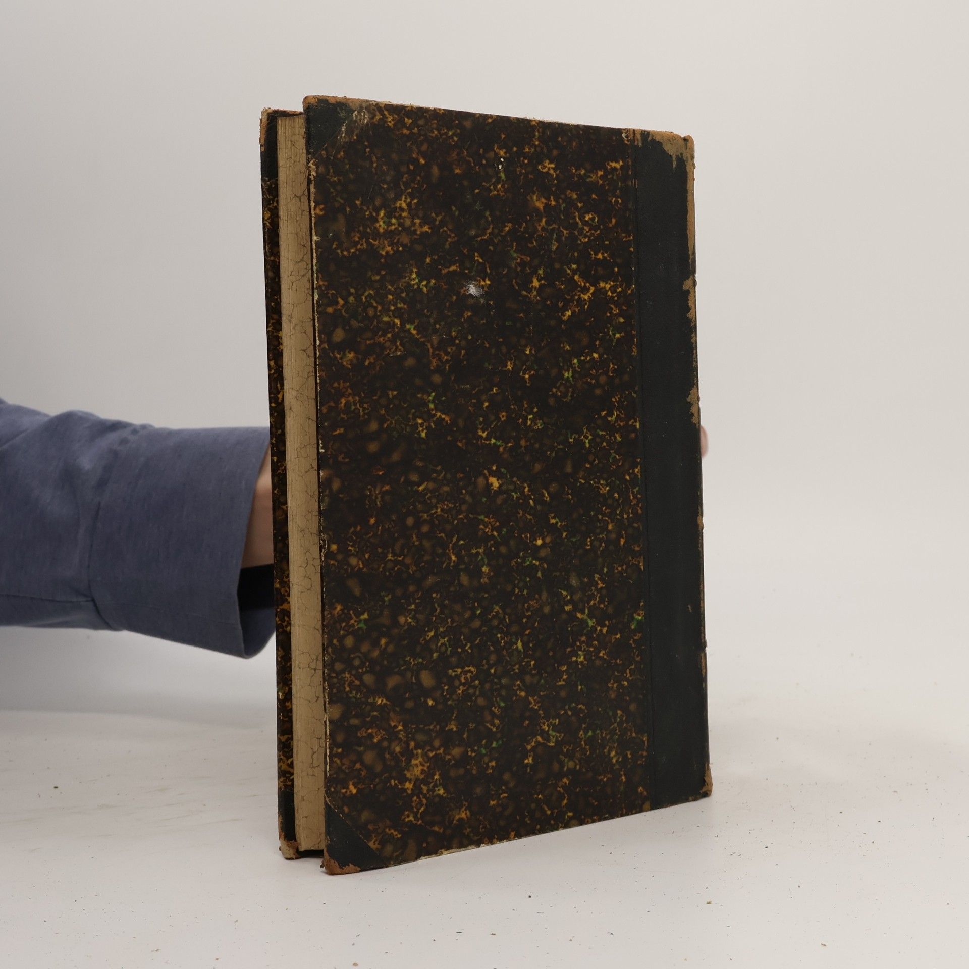 Tilmann Pesch Institutiones Philosophiae Naturalis secundum principia S. Thomae Aquinatis